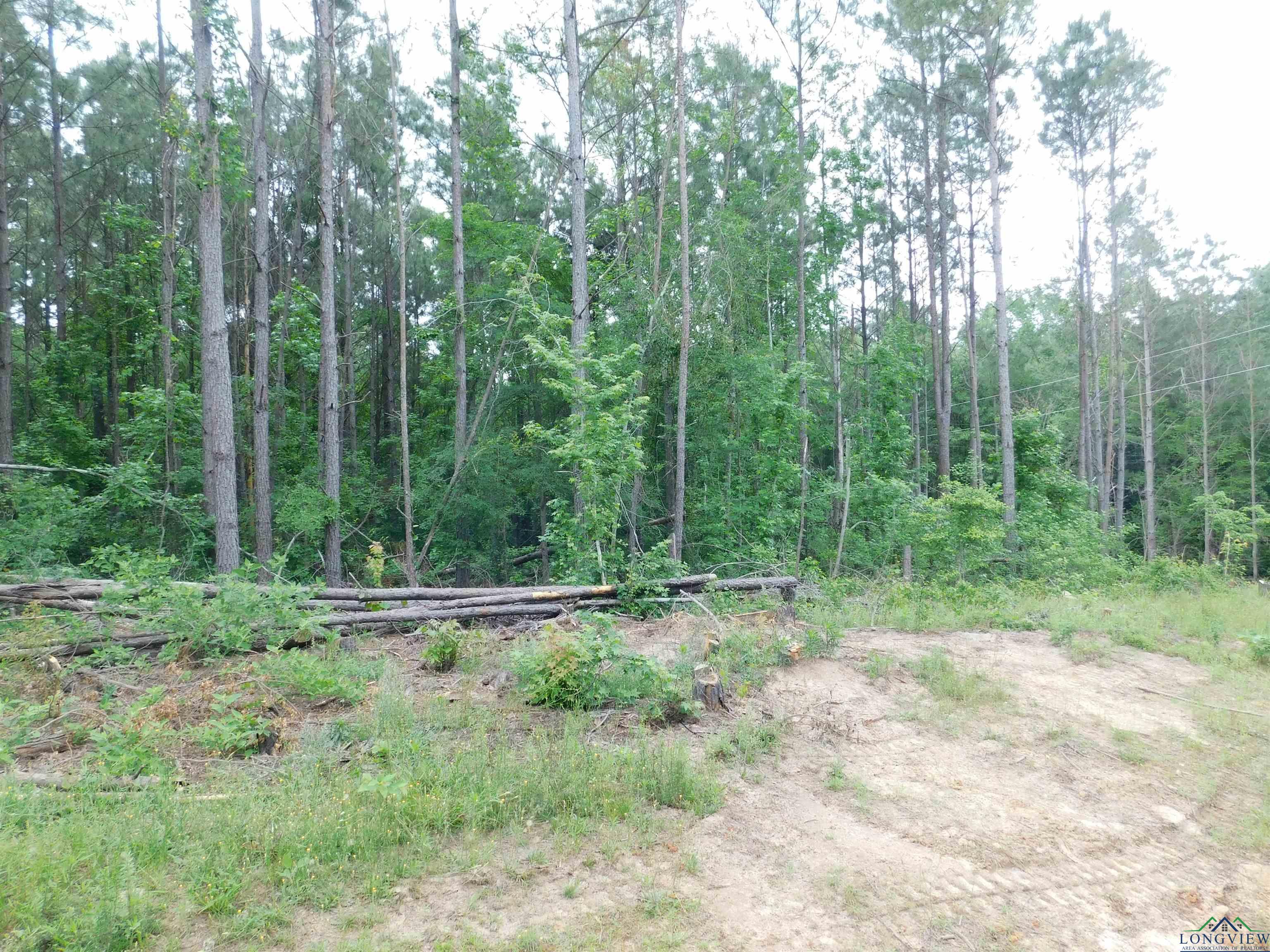 TBD Megan Mills Rd, Gilmer, Texas image 2