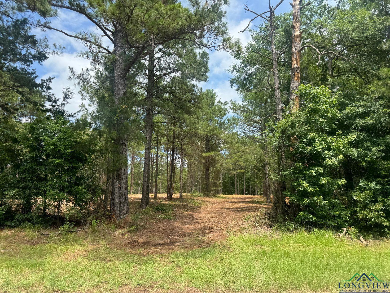 0002 Fm 805, Jefferson, Texas image 6