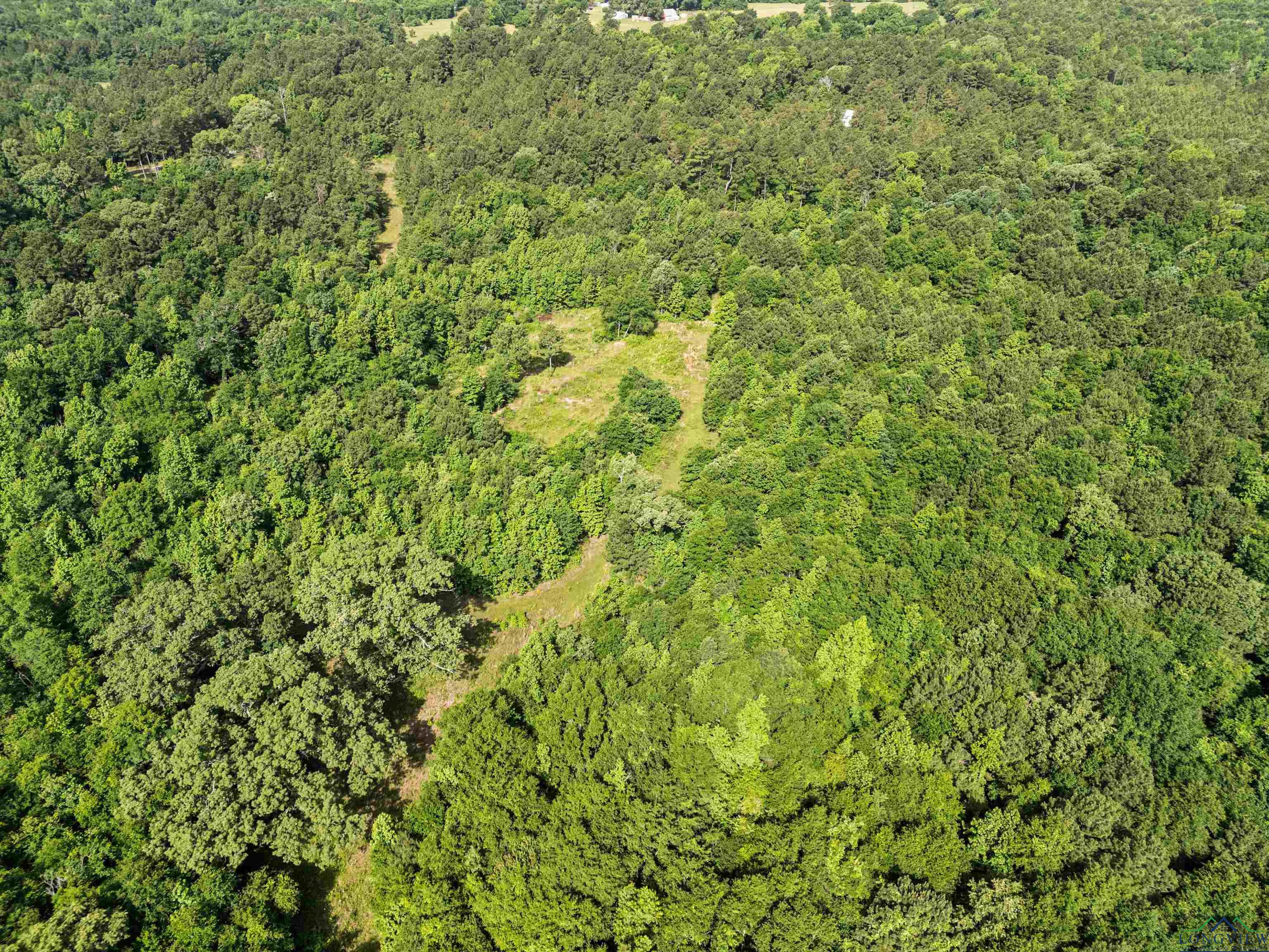 TBD Cr 1115 W, Kilgore, Texas image 11