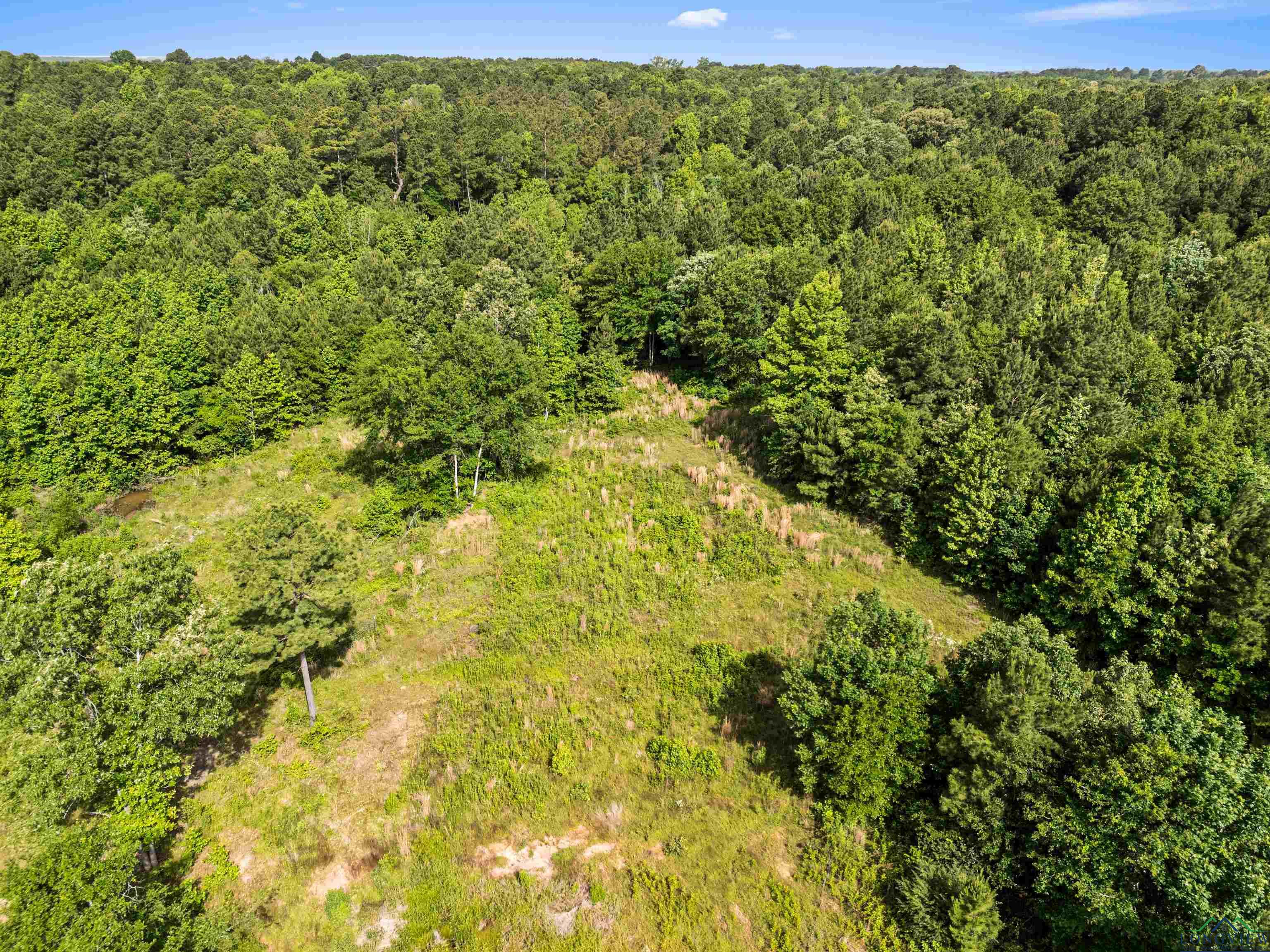 TBD Cr 1115 W, Kilgore, Texas image 12