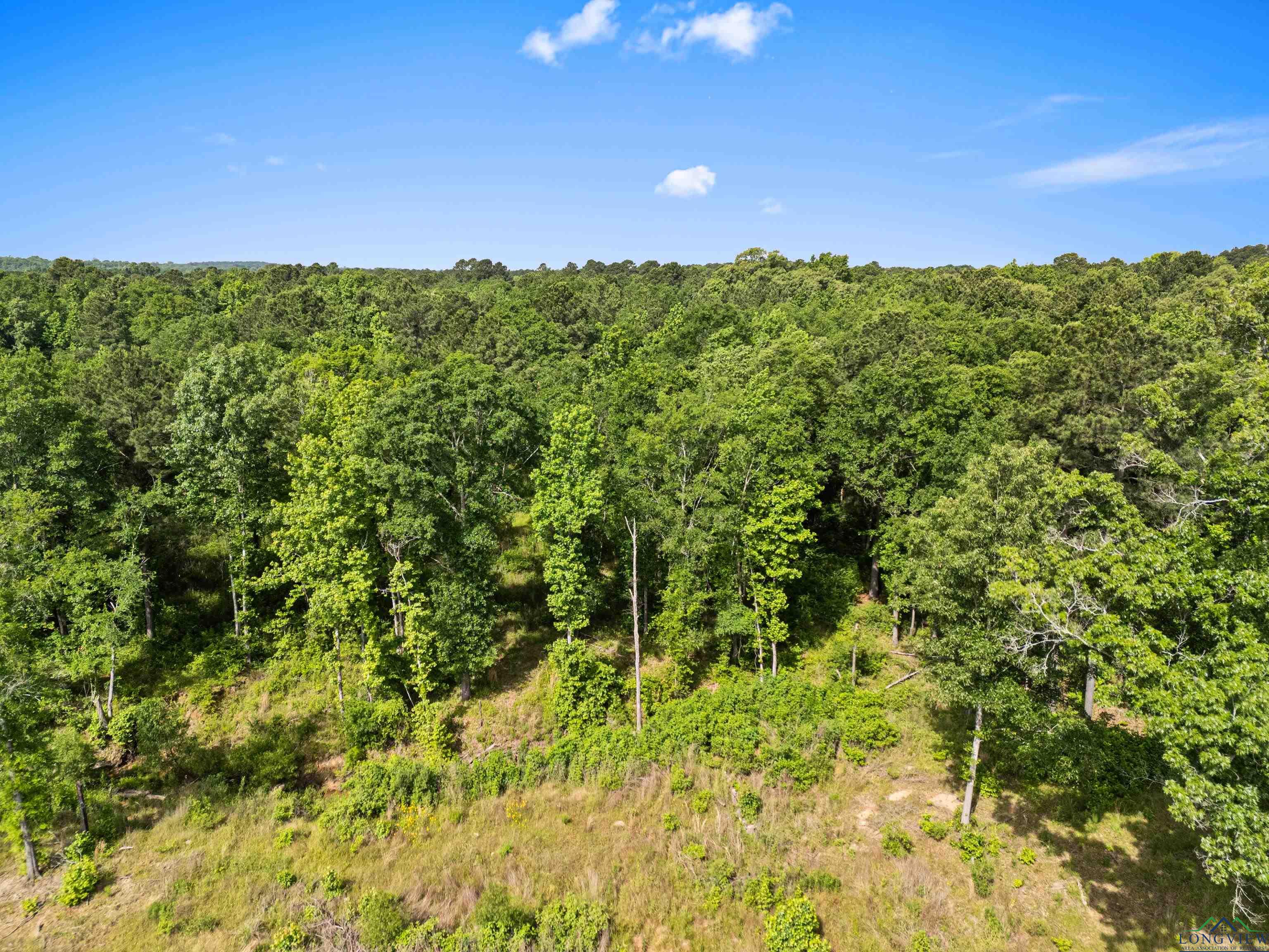 TBD Cr 1115 W, Kilgore, Texas image 14