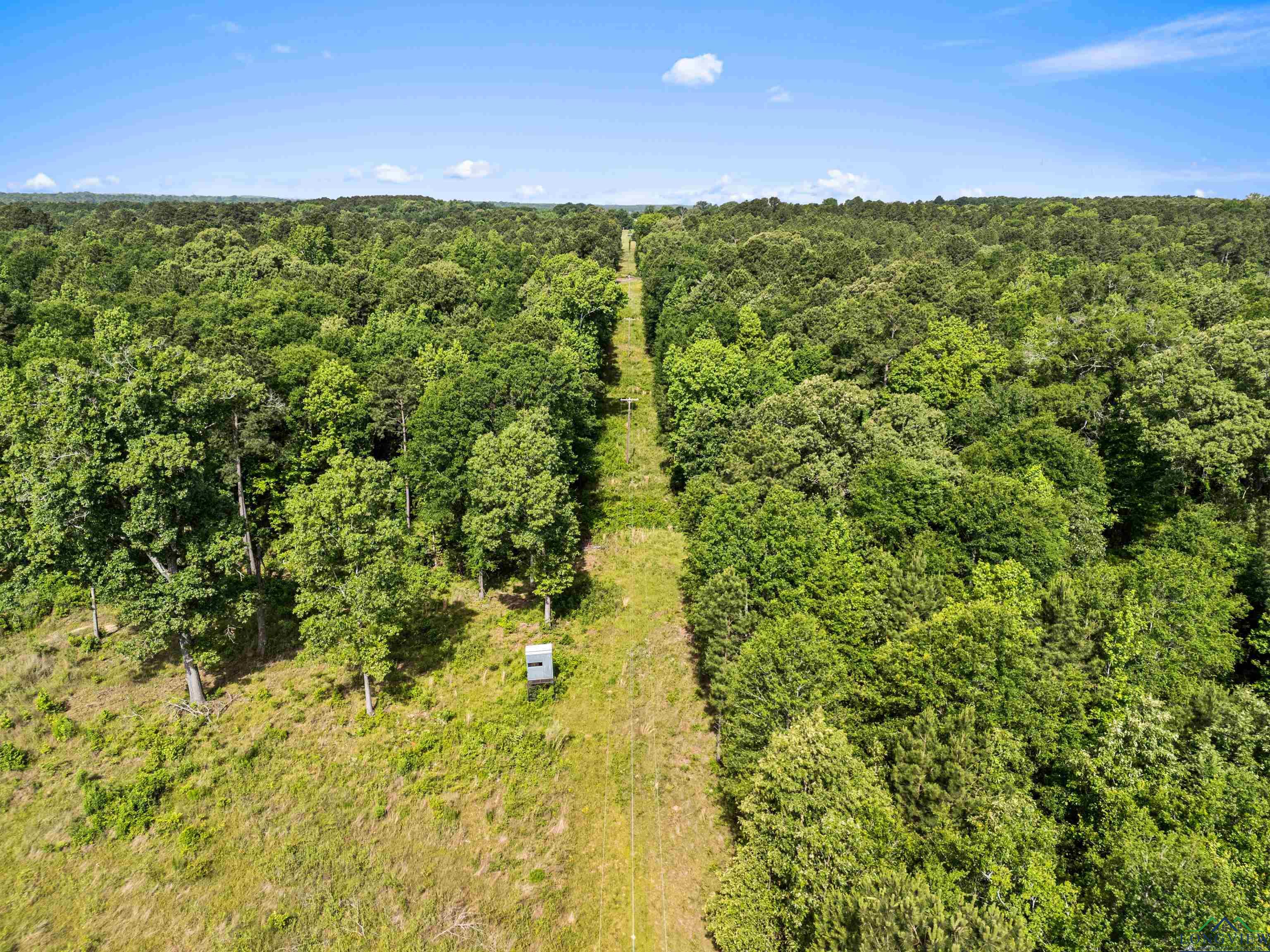 TBD Cr 1115 W, Kilgore, Texas image 10