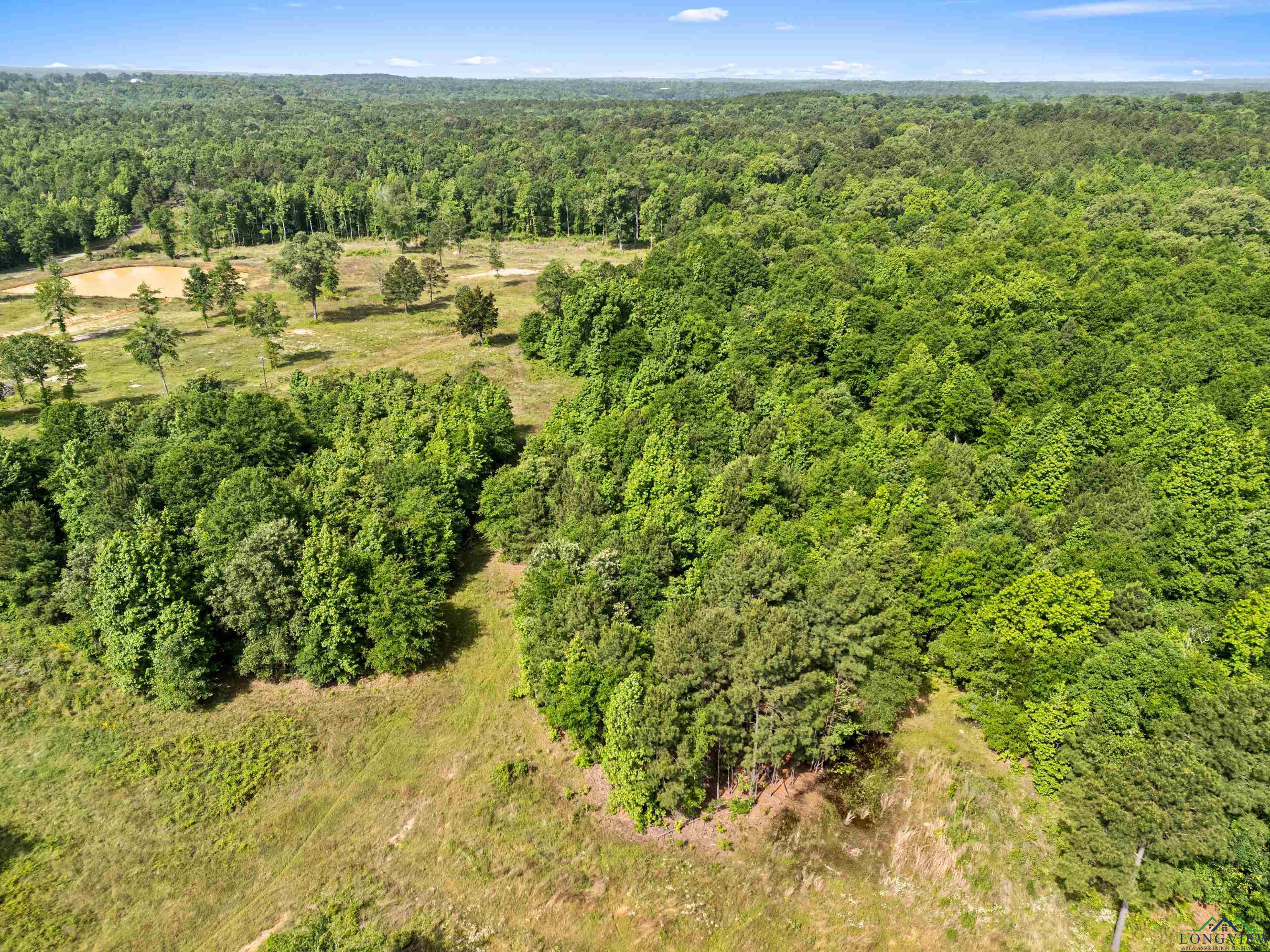 TBD Cr 1115 W, Kilgore, Texas image 15
