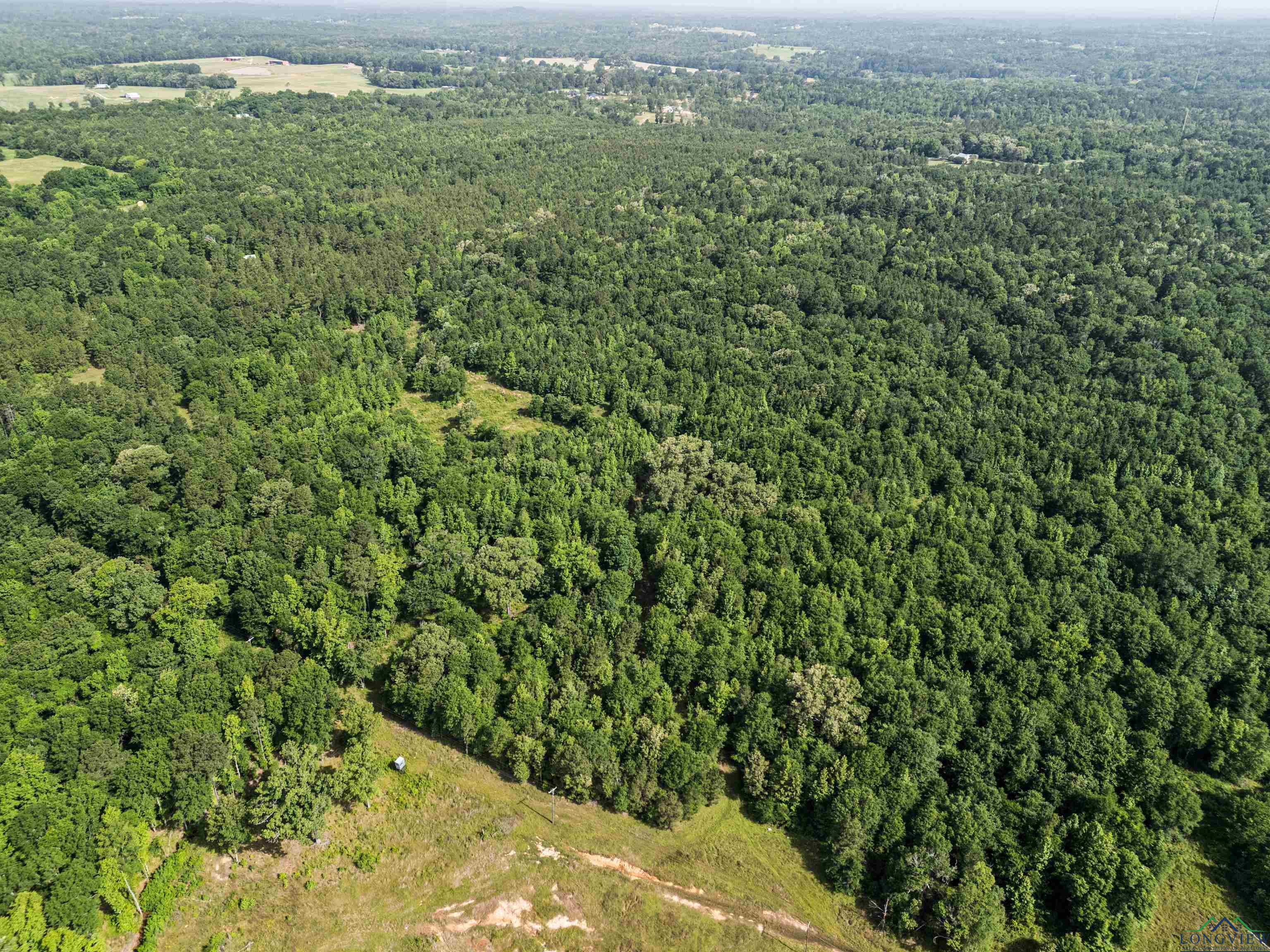 TBD Cr 1115 W, Kilgore, Texas image 8