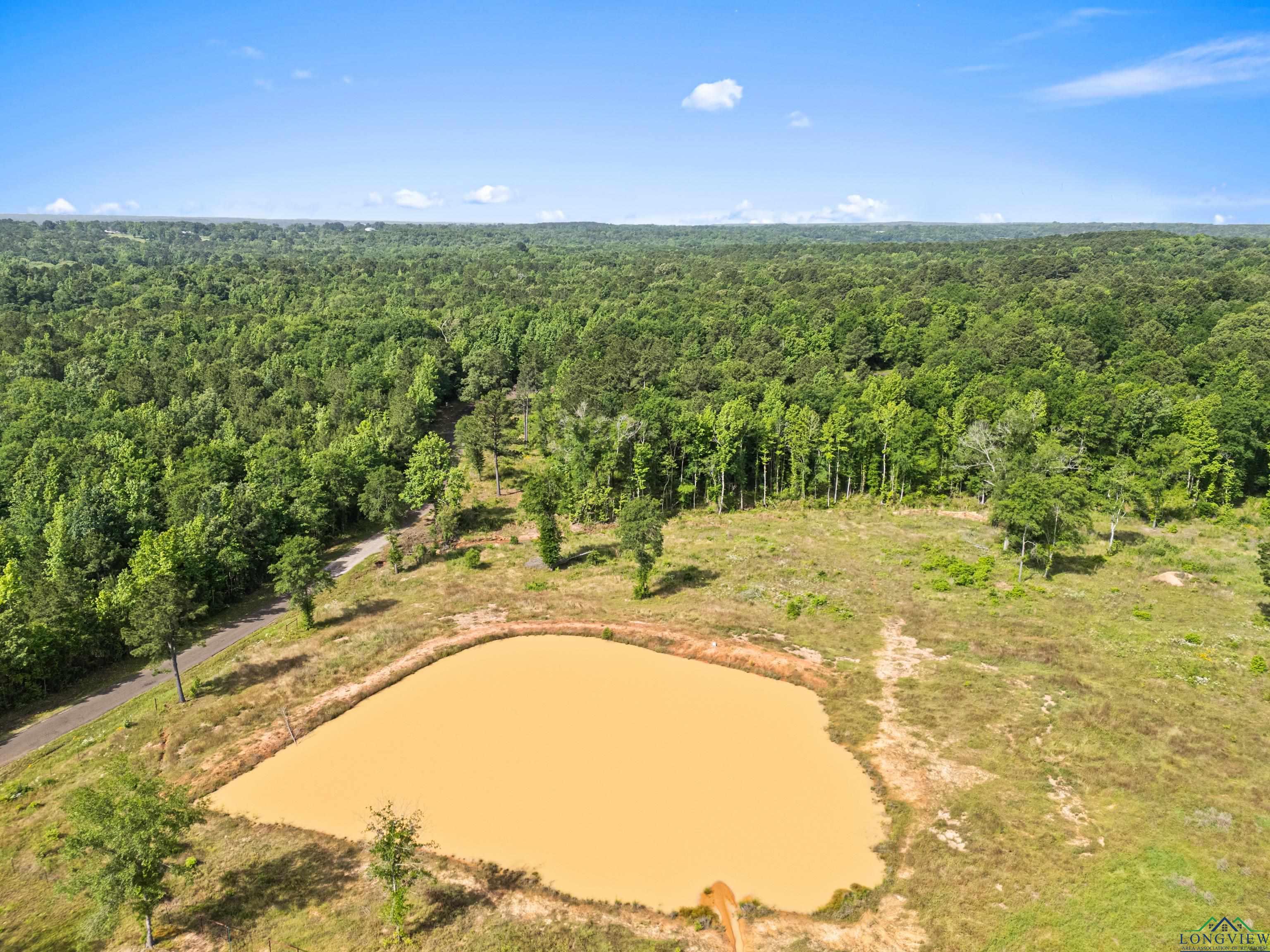 TBD Cr 1115 W, Kilgore, Texas image 13