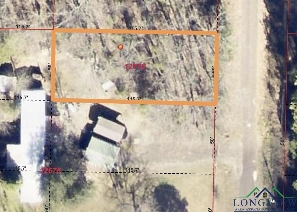 Lot 561 Tbd Eagle Bluff Loop, Avinger, Texas image 2