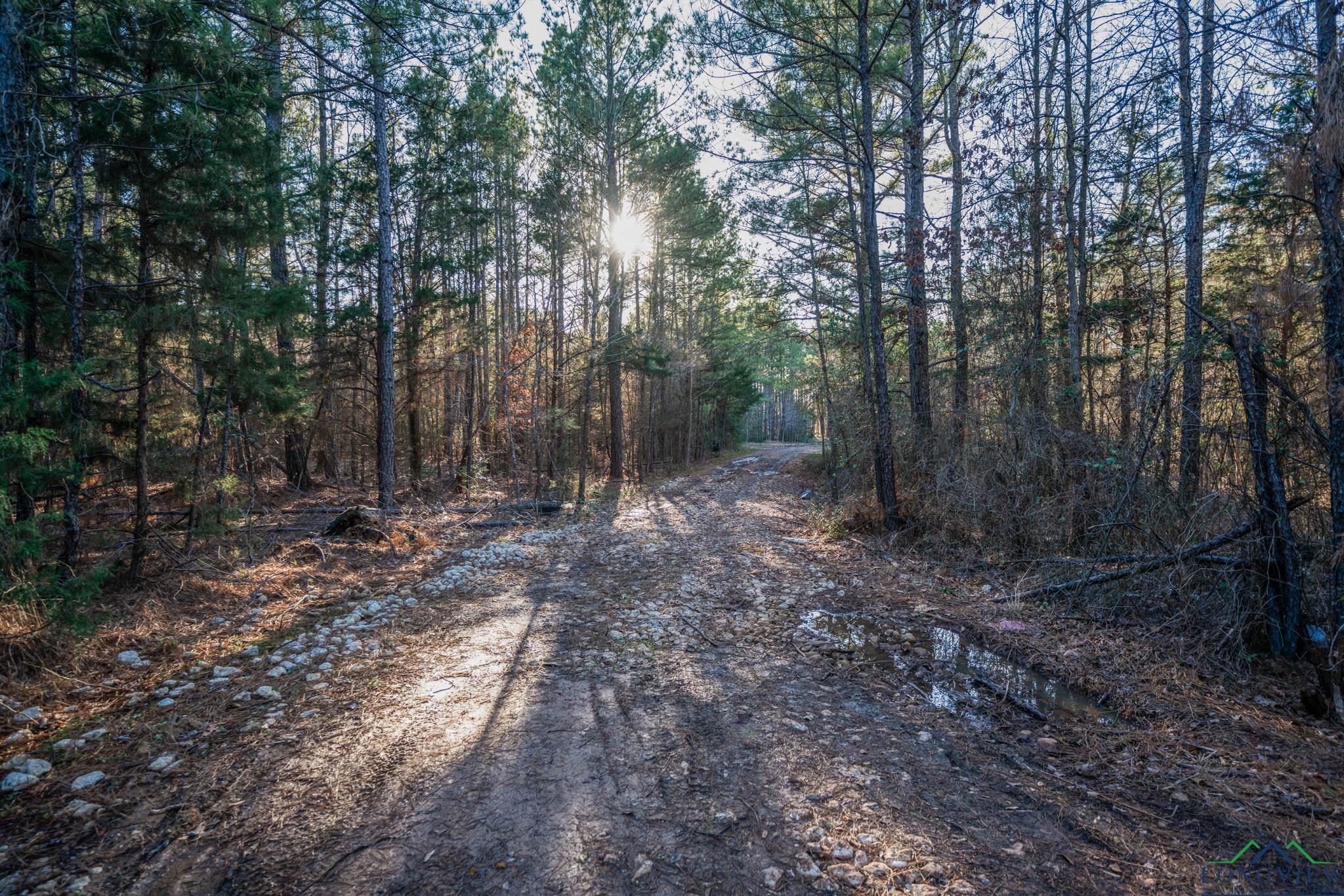 TBD Watson Rd, Kilgore, Texas image 11