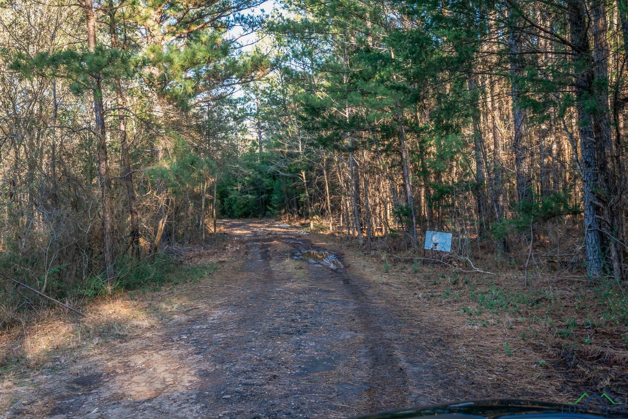 TBD Watson Rd, Kilgore, Texas image 10