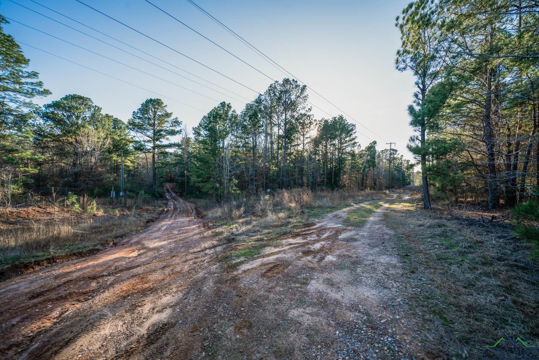 TBD Watson Rd, Kilgore, Texas image 4