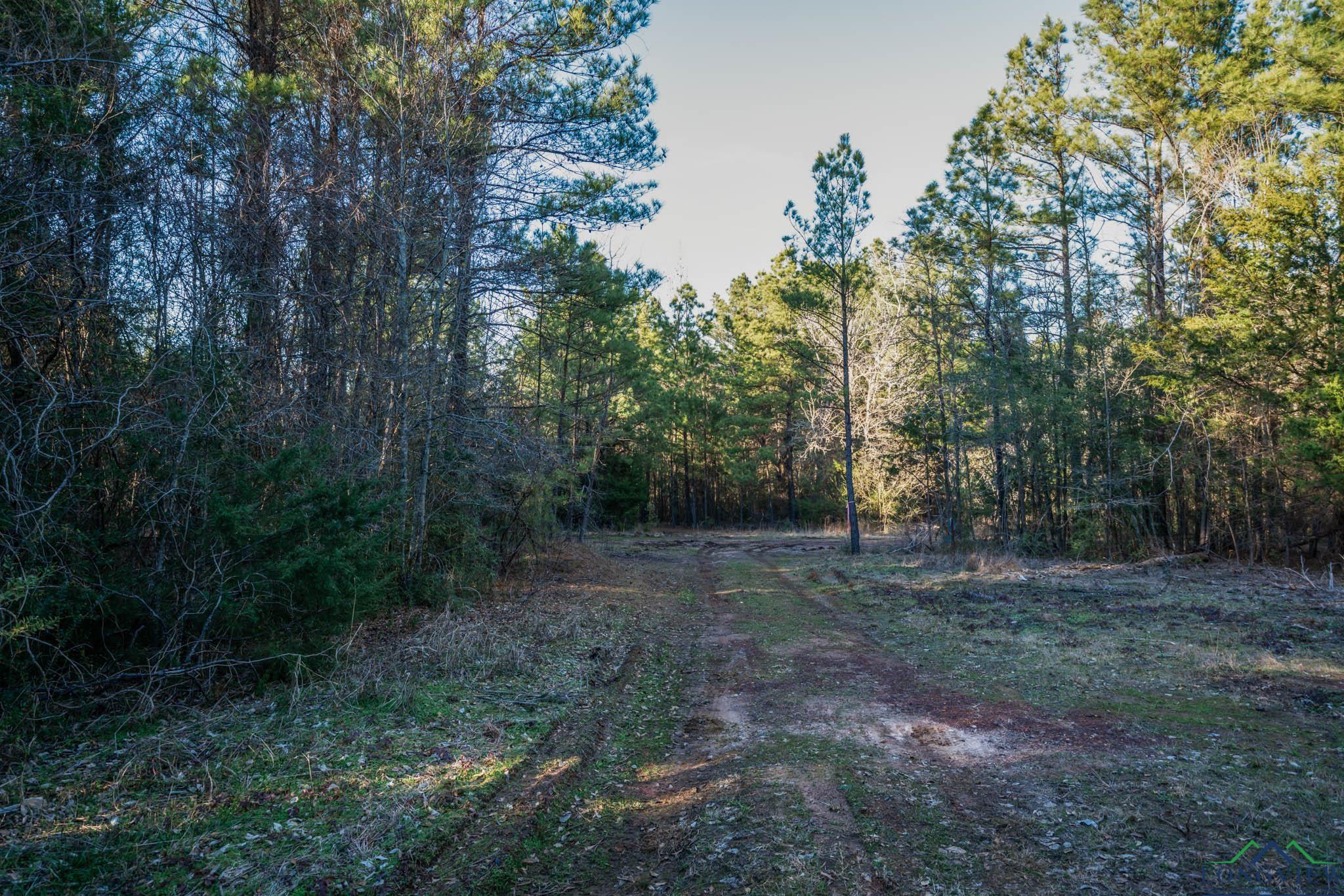 TBD Watson Rd, Kilgore, Texas image 9