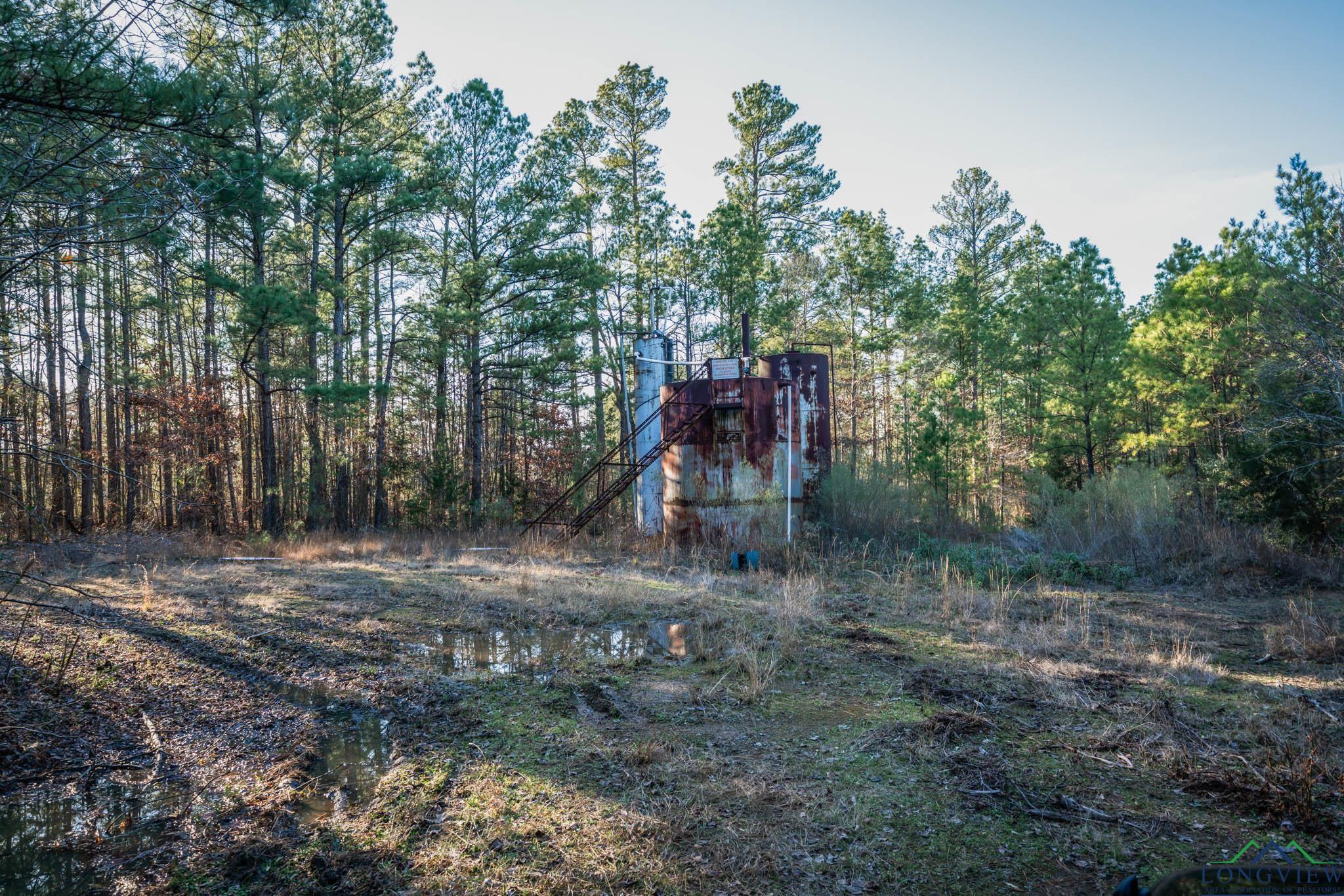 TBD Watson Rd, Kilgore, Texas image 8