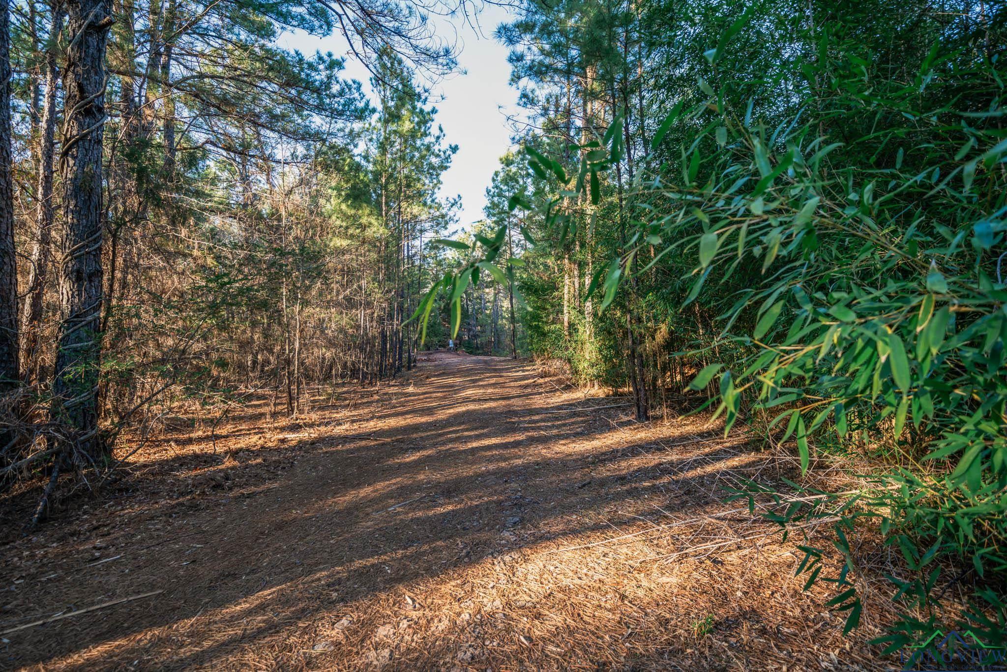 TBD Watson Rd, Kilgore, Texas image 12