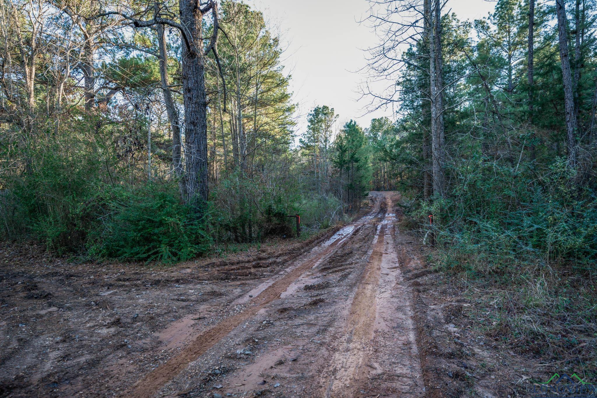 TBD Watson Rd, Kilgore, Texas image 5