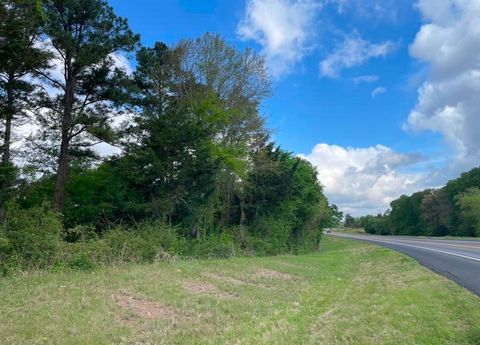 Vacant Land For Sale - N State Hwy 19<br/> Anderson County, Palestine, TX 75803