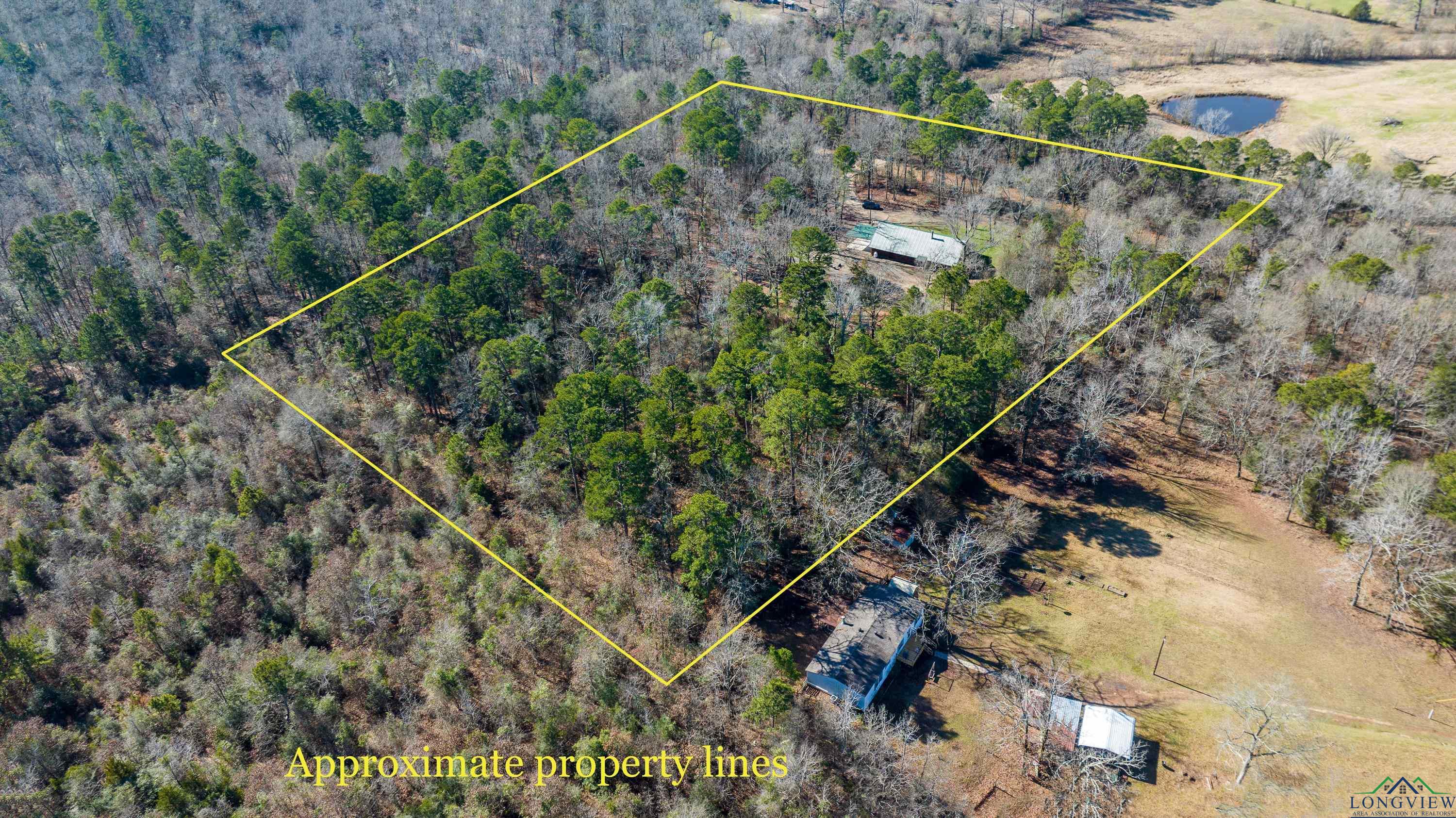 564 Thyme Rd, Diana, Texas image 47