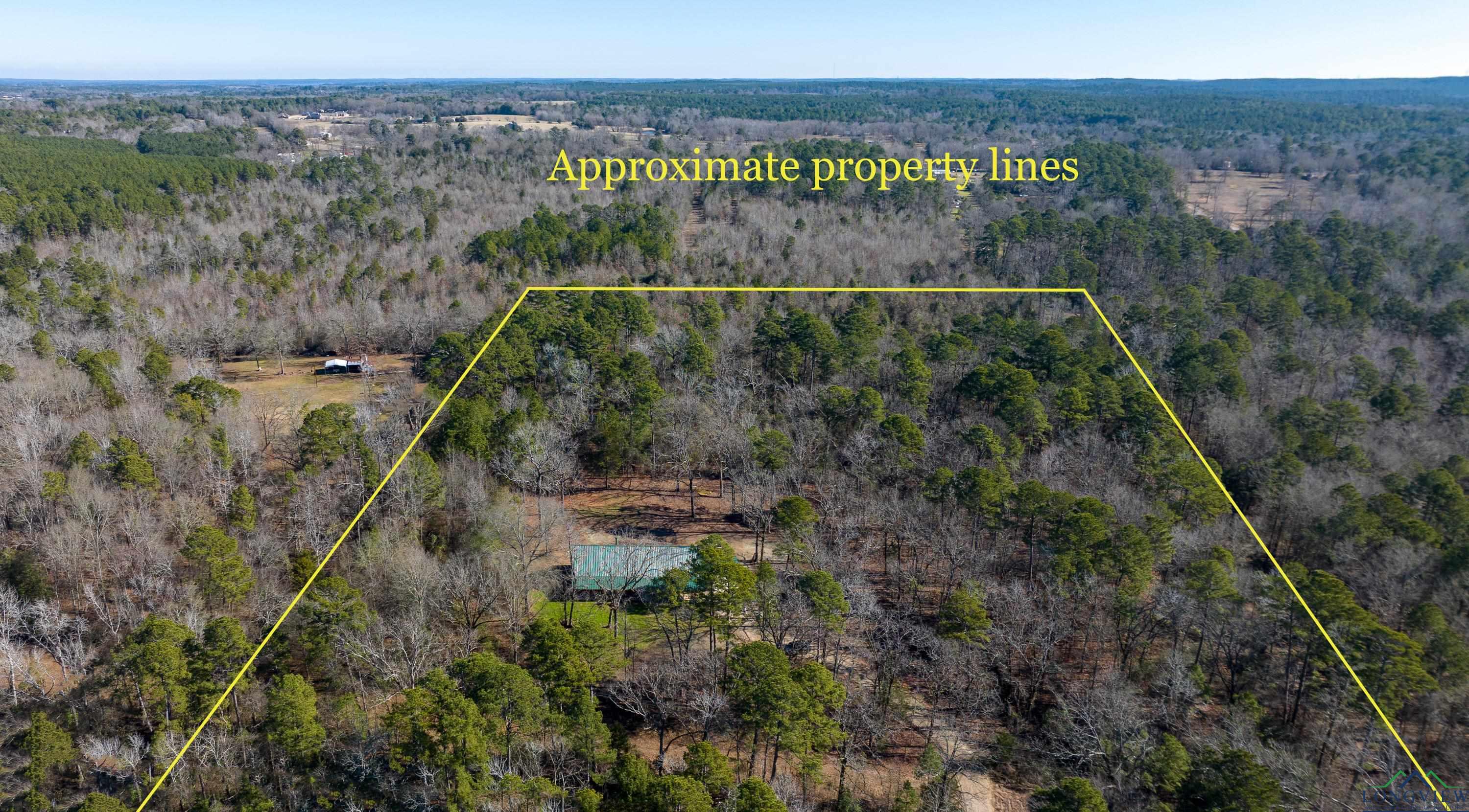 564 Thyme Rd, Diana, Texas image 48