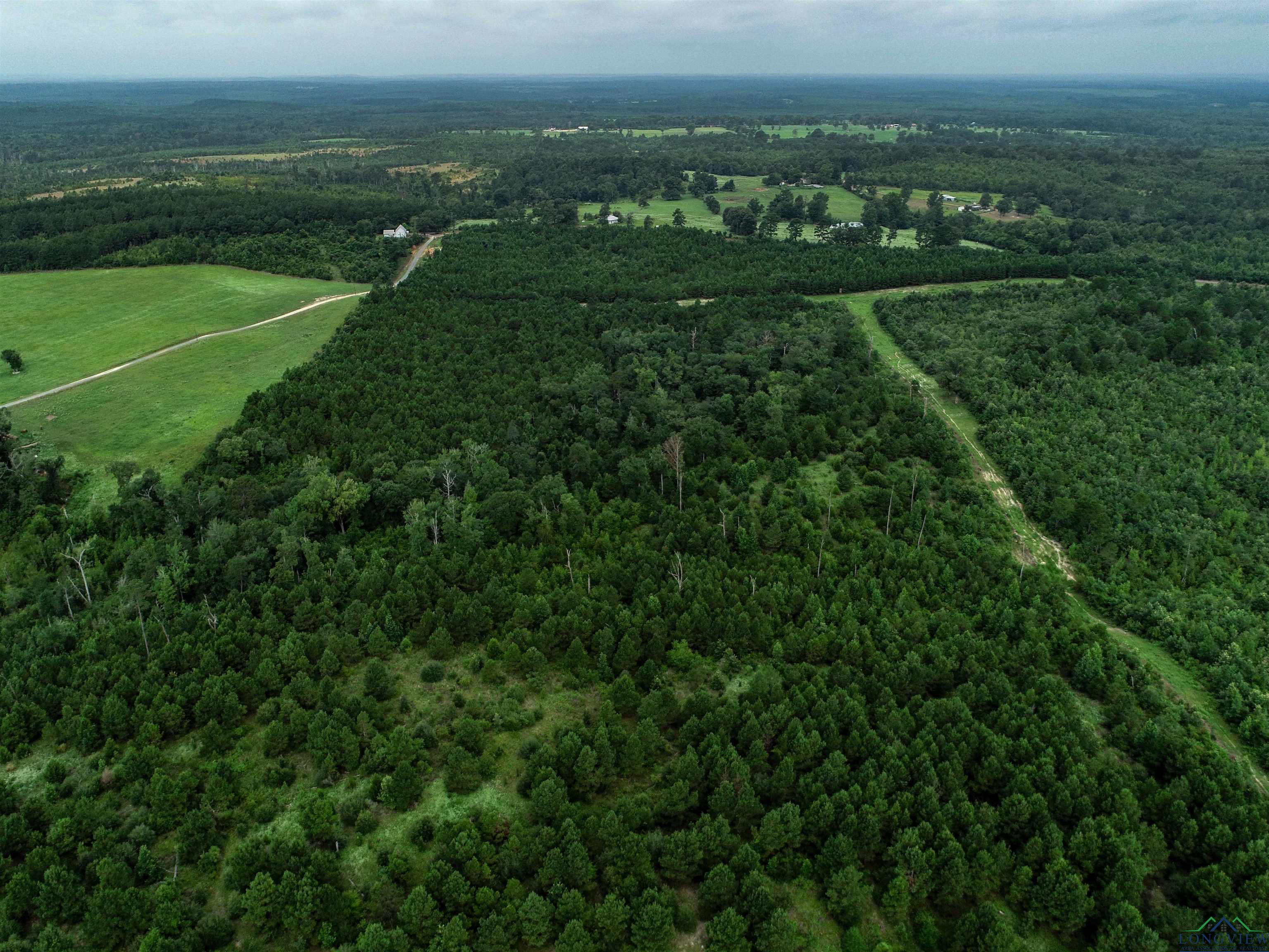 TBD Liberty Rd Tract 2, Jefferson, Texas image 2