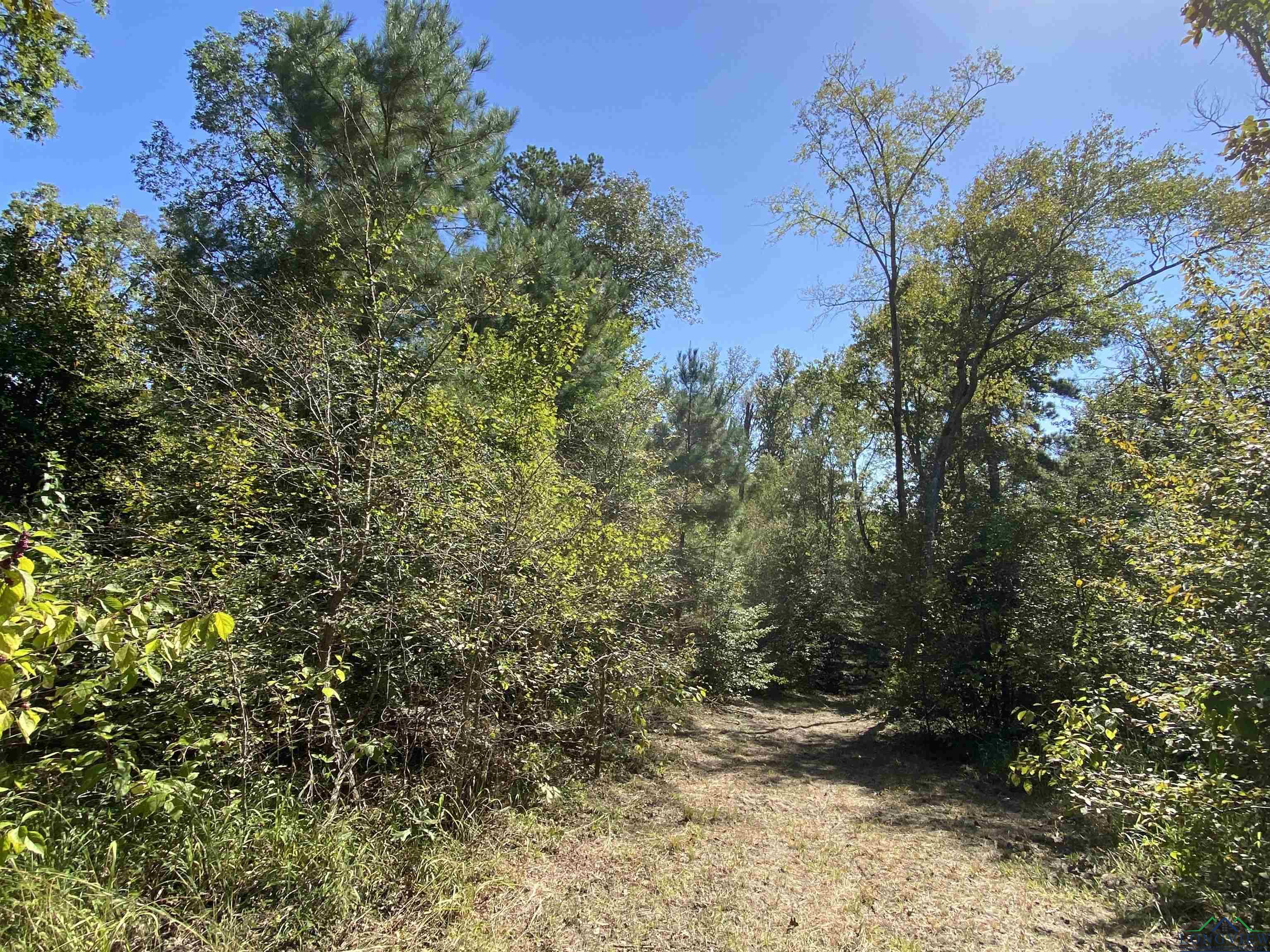 TBD Cr 1613, Avinger, Texas image 20