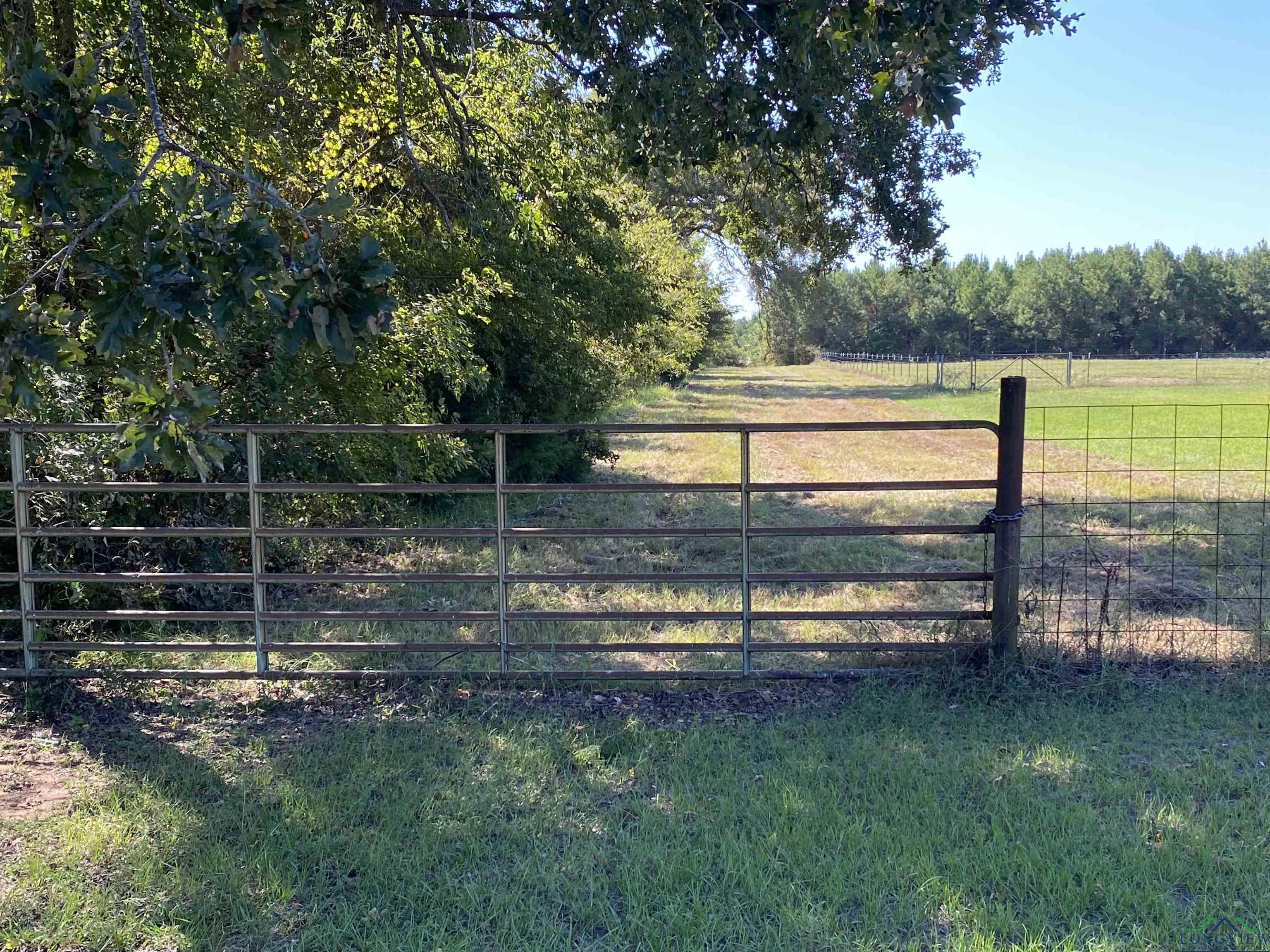 TBD Cr 1613, Avinger, Texas image 6