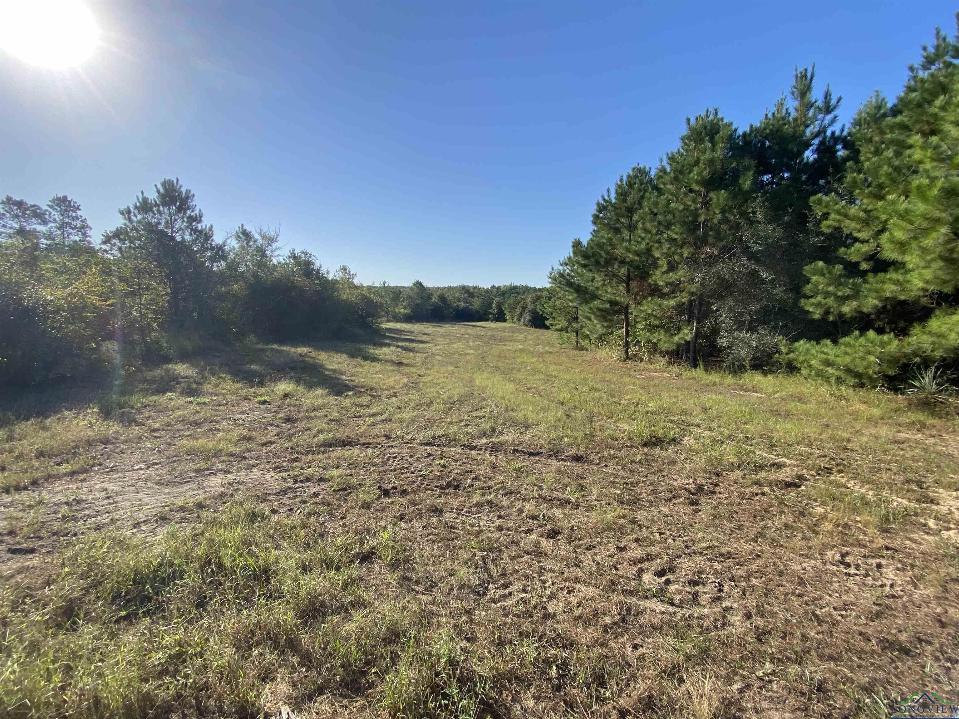 TBD Cr 1613, Avinger, Texas image 18