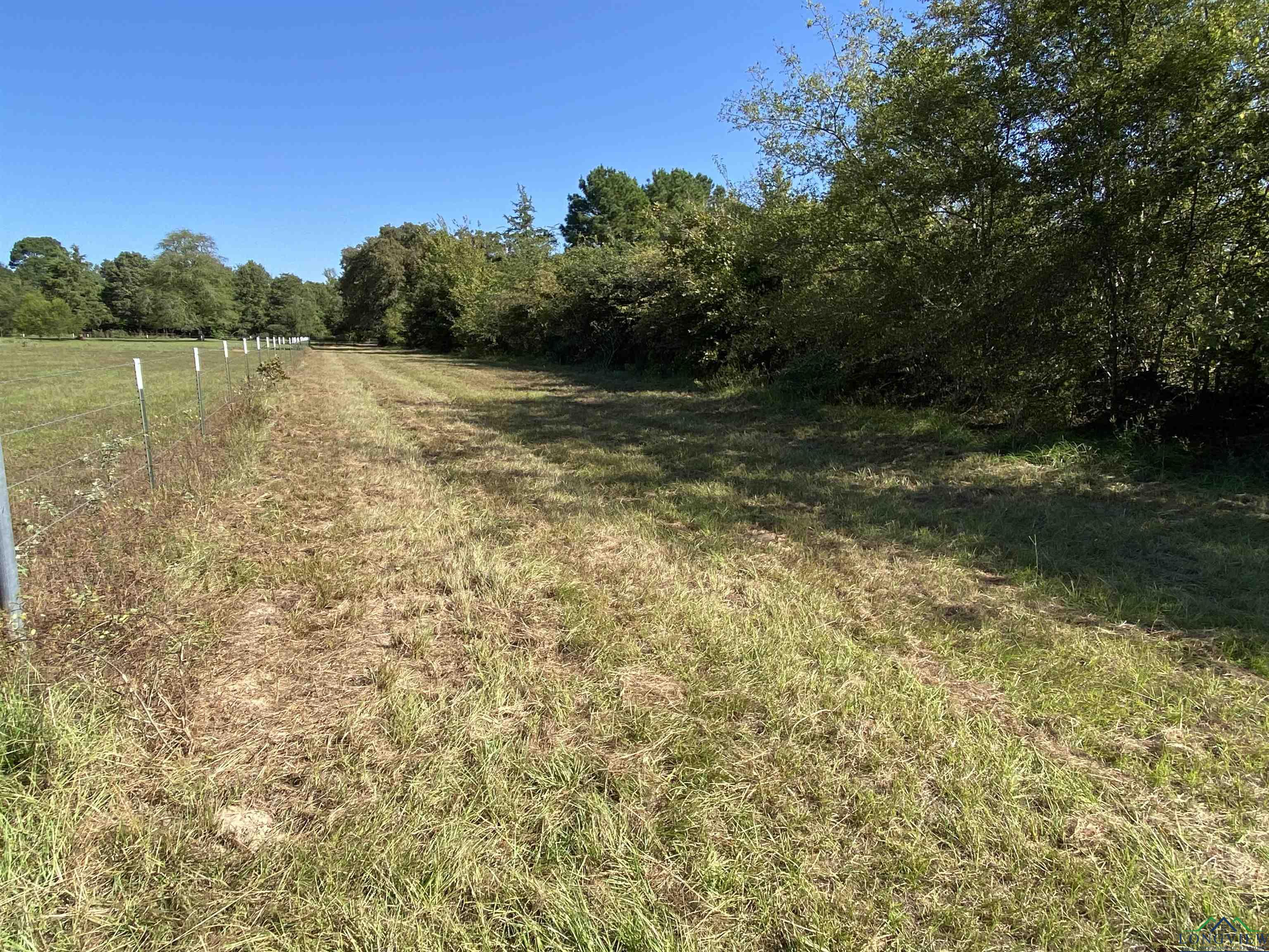 TBD Cr 1613, Avinger, Texas image 17