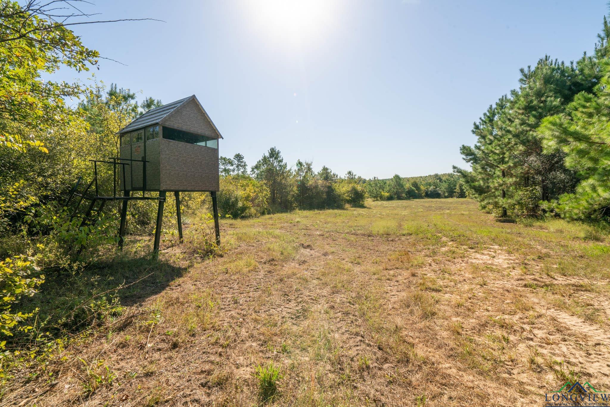 TBD Cr 1613, Avinger, Texas image 1