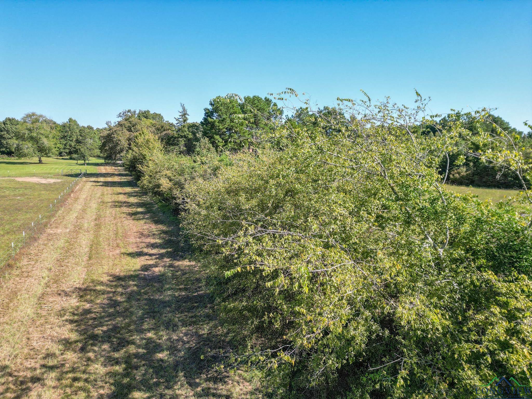 TBD Cr 1613, Avinger, Texas image 9