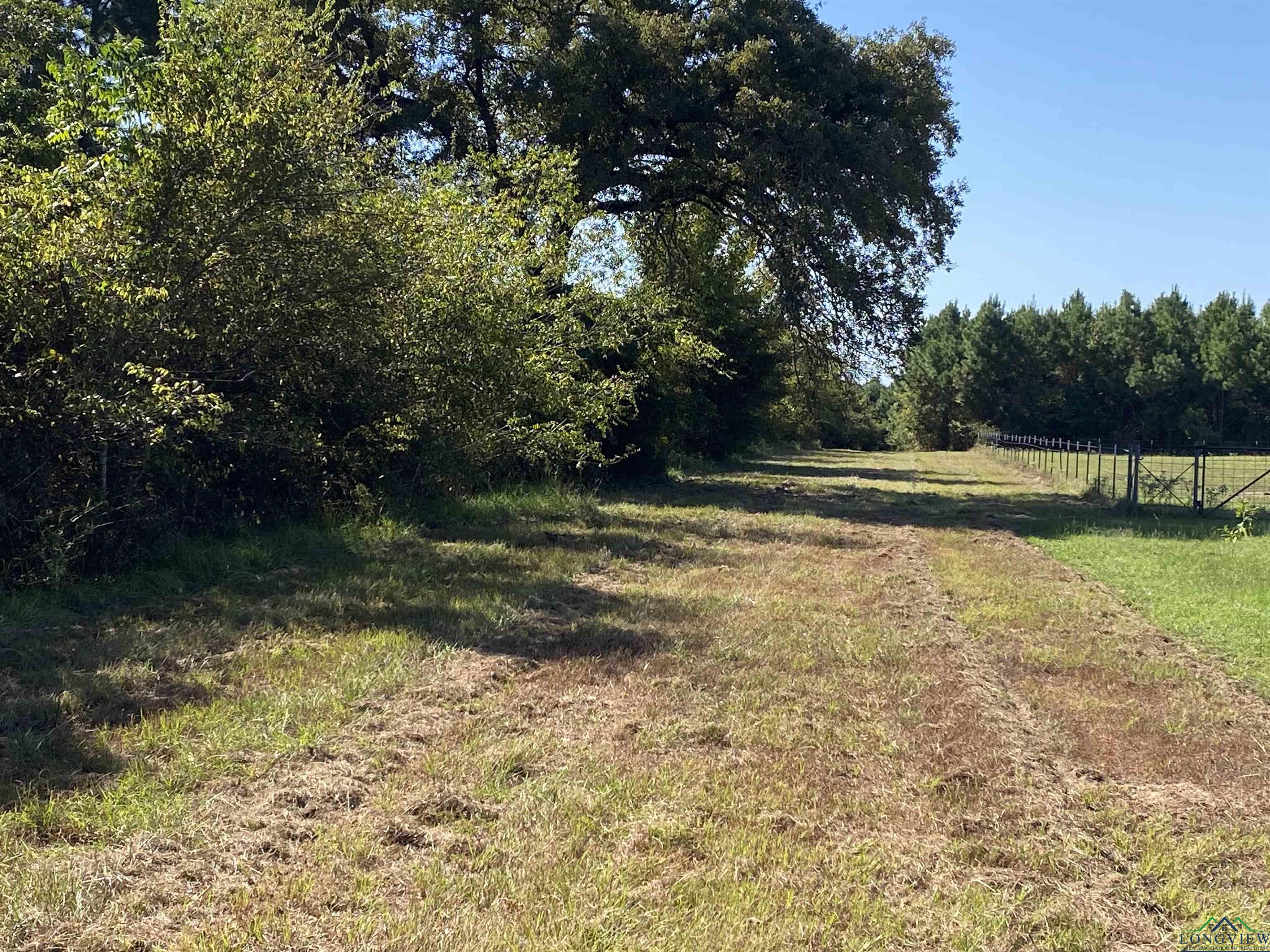 TBD Cr 1613, Avinger, Texas image 8