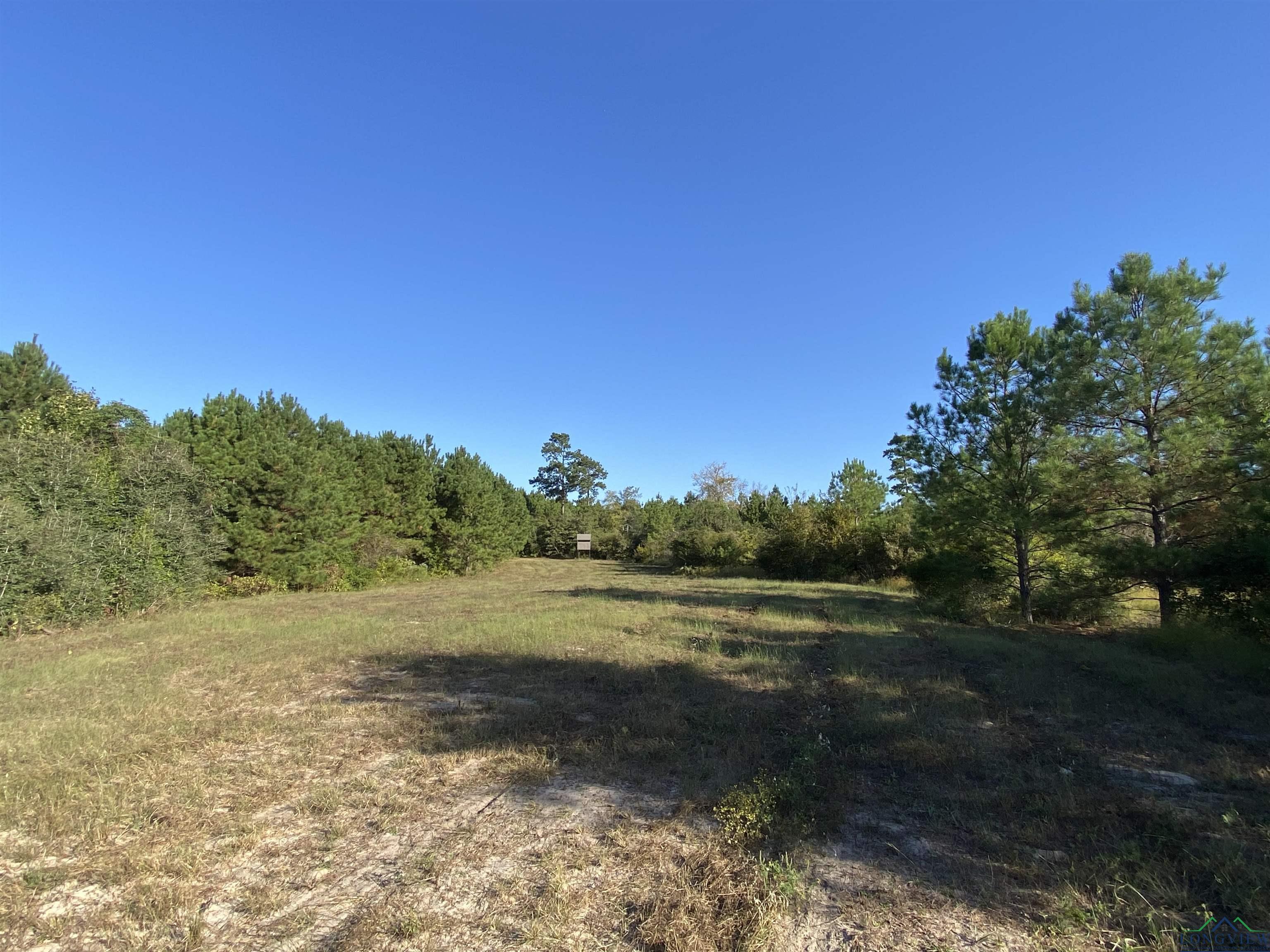 TBD Cr 1613, Avinger, Texas image 2