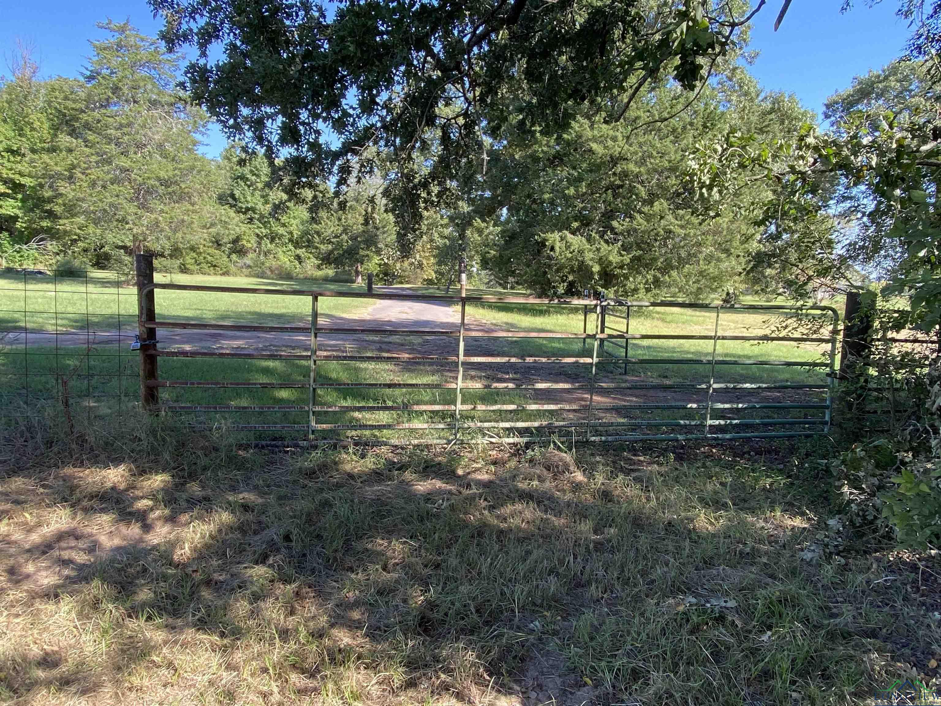 TBD Cr 1613, Avinger, Texas image 7