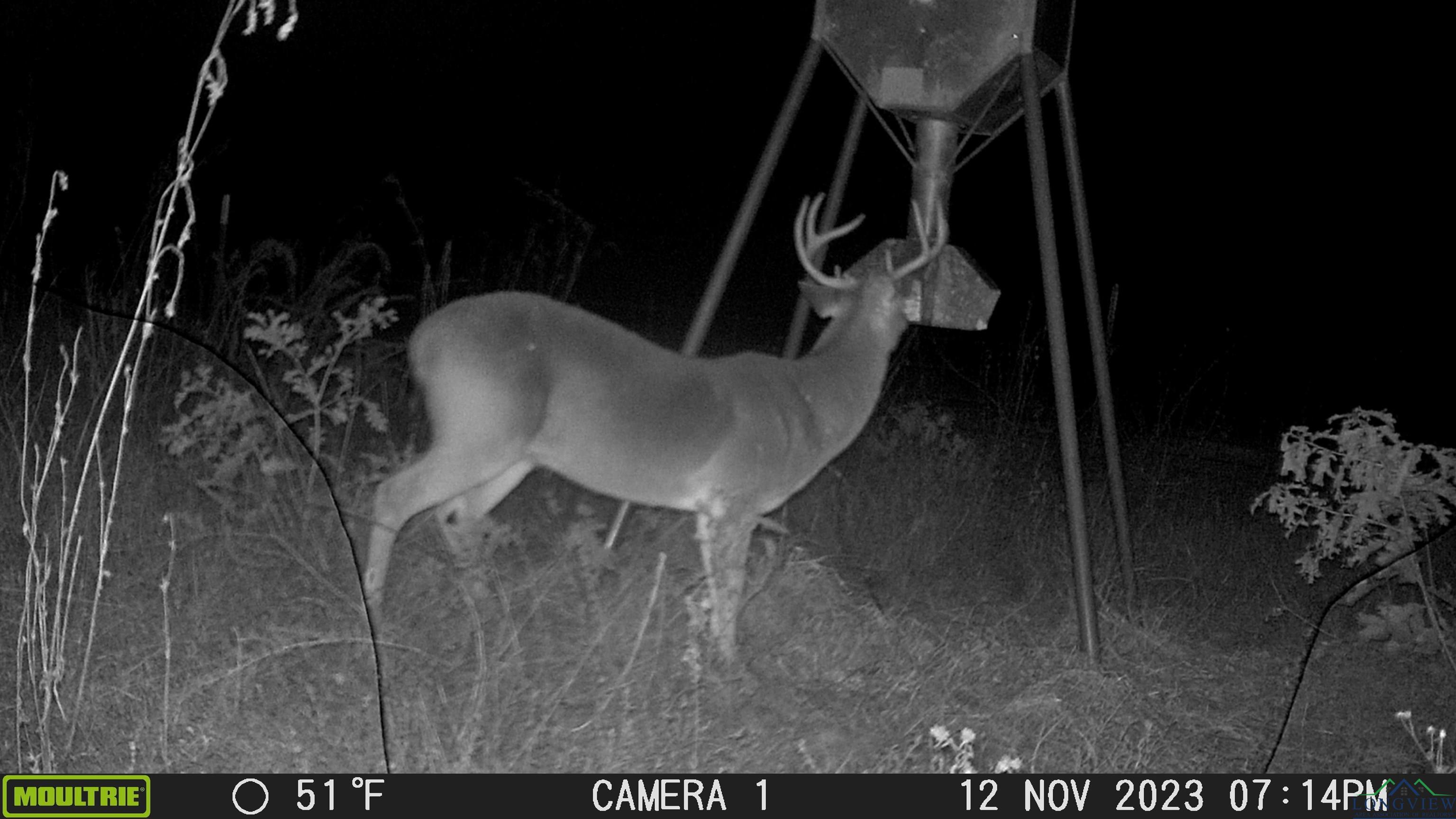 TBD Cr 1613, Avinger, Texas image 44