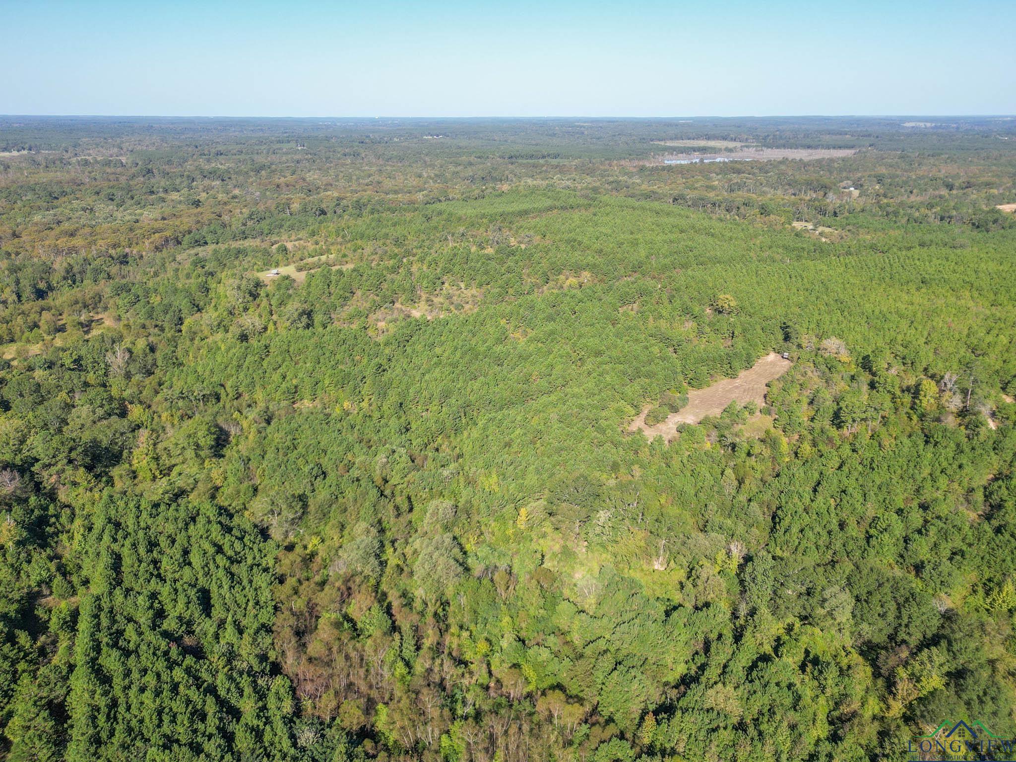 TBD Cr 1613, Avinger, Texas image 39