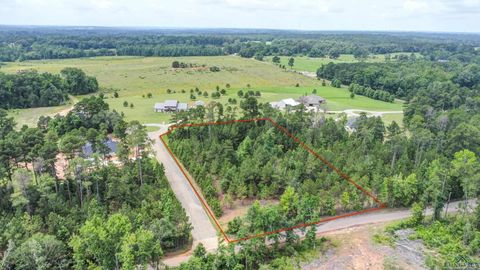 Homes For Sale - LOT 4 BLK 2 Loblolly Ln<br/> Rusk County, Henderson, TX 75654