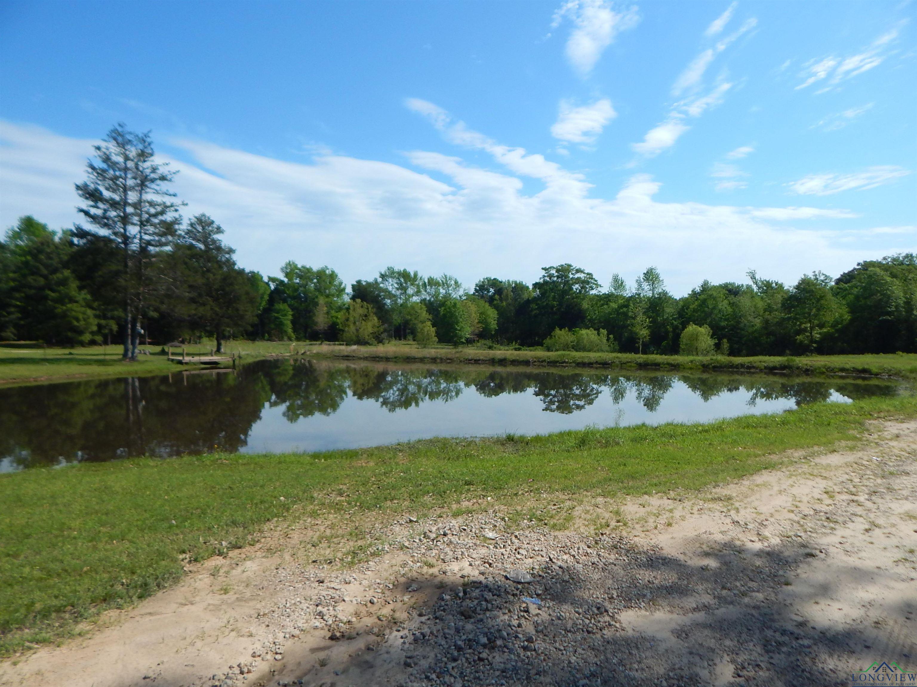 6620 Fm 1795, Gilmer, Texas image 2