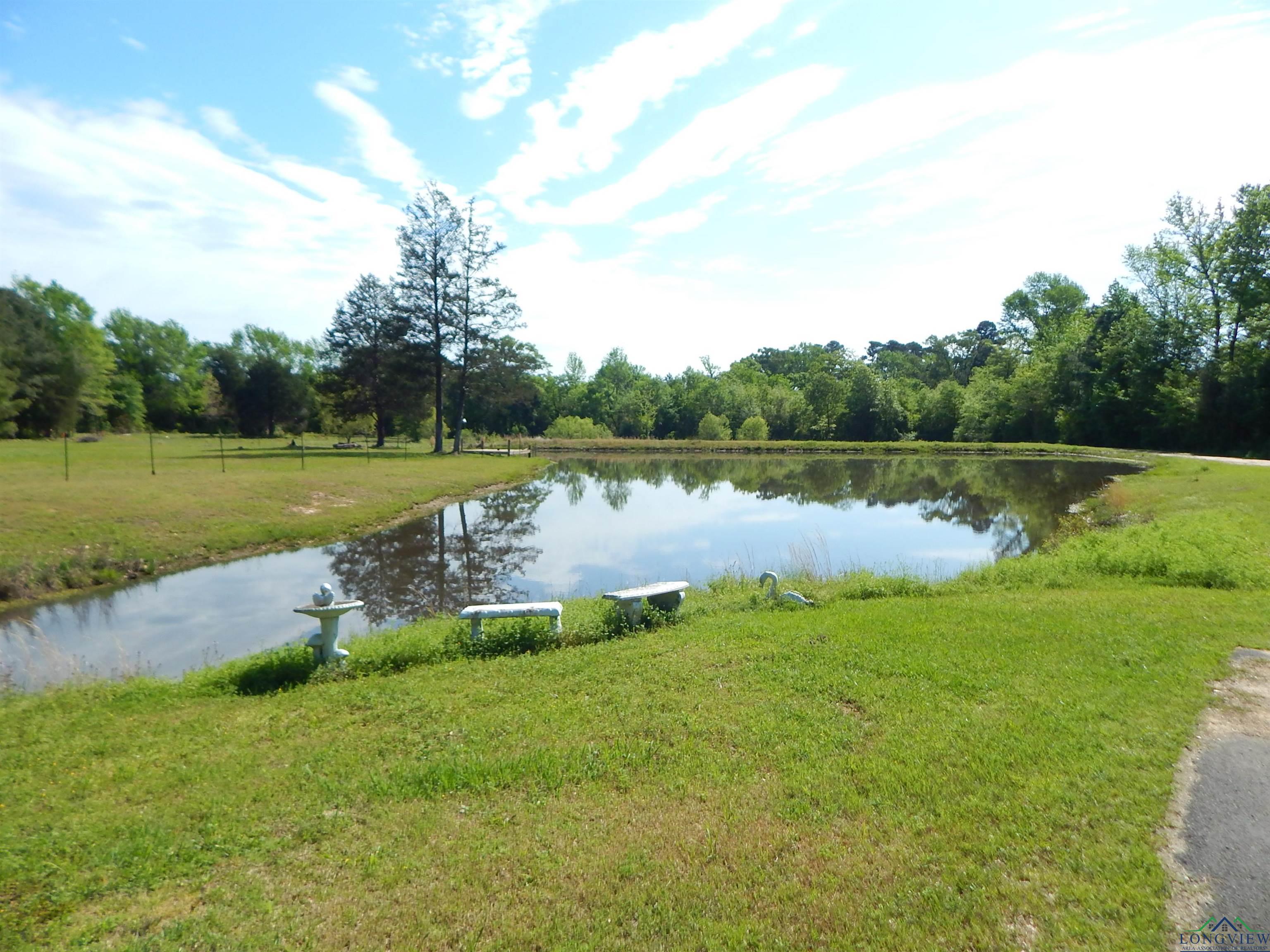 6620 Fm 1795, Gilmer, Texas image 4