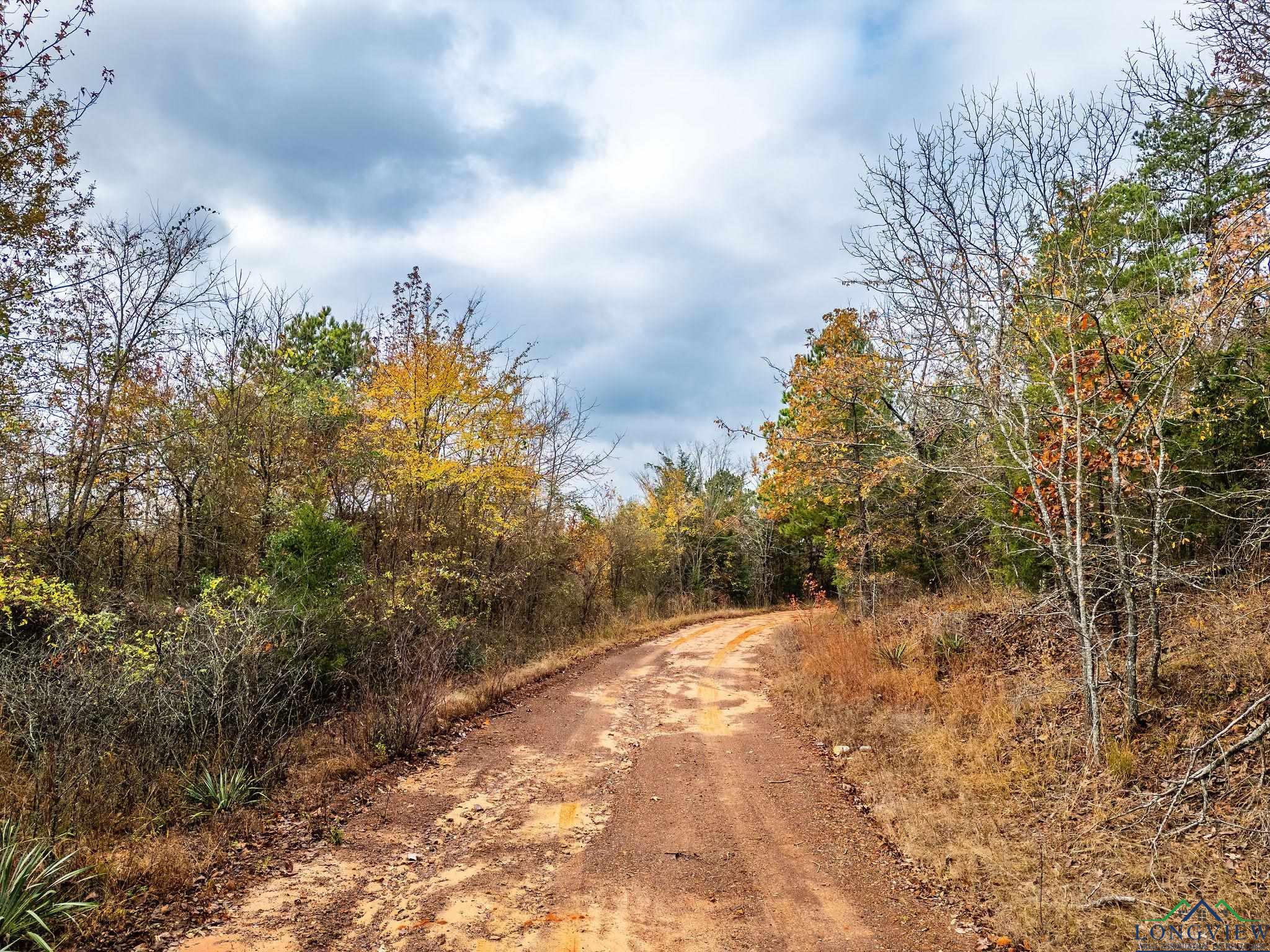 TBD N Hwy 259, Lone Star, Texas image 28