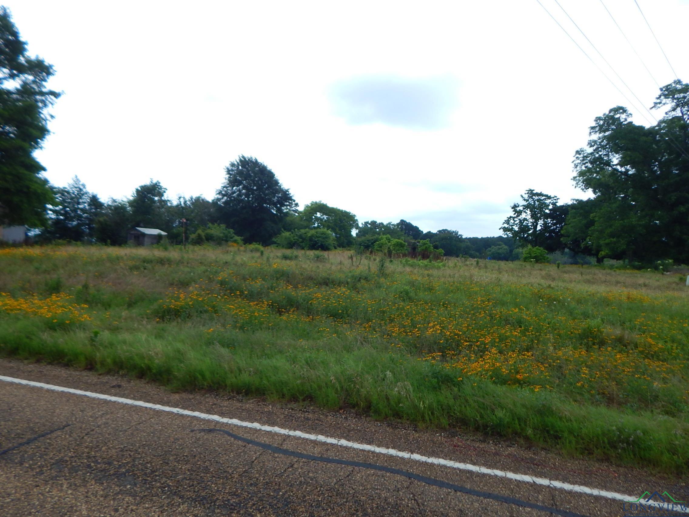 TBD 1 Acre Fm 1404, Big Sandy, Texas image 7