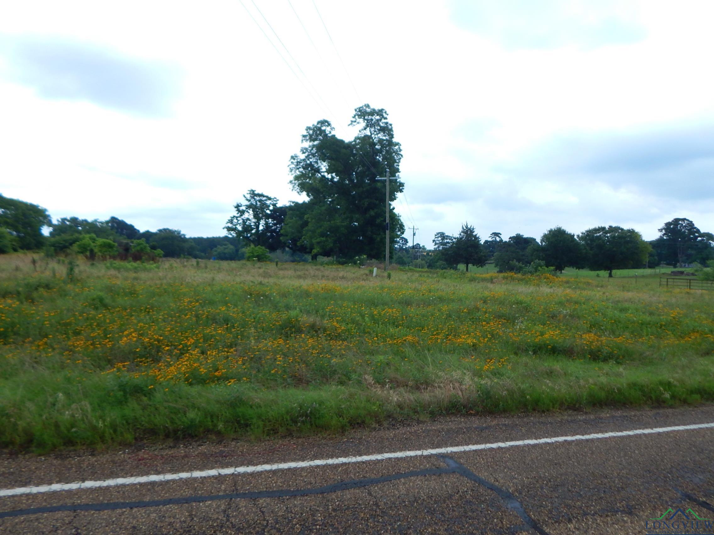 TBD 1 Acre Fm 1404, Big Sandy, Texas image 5