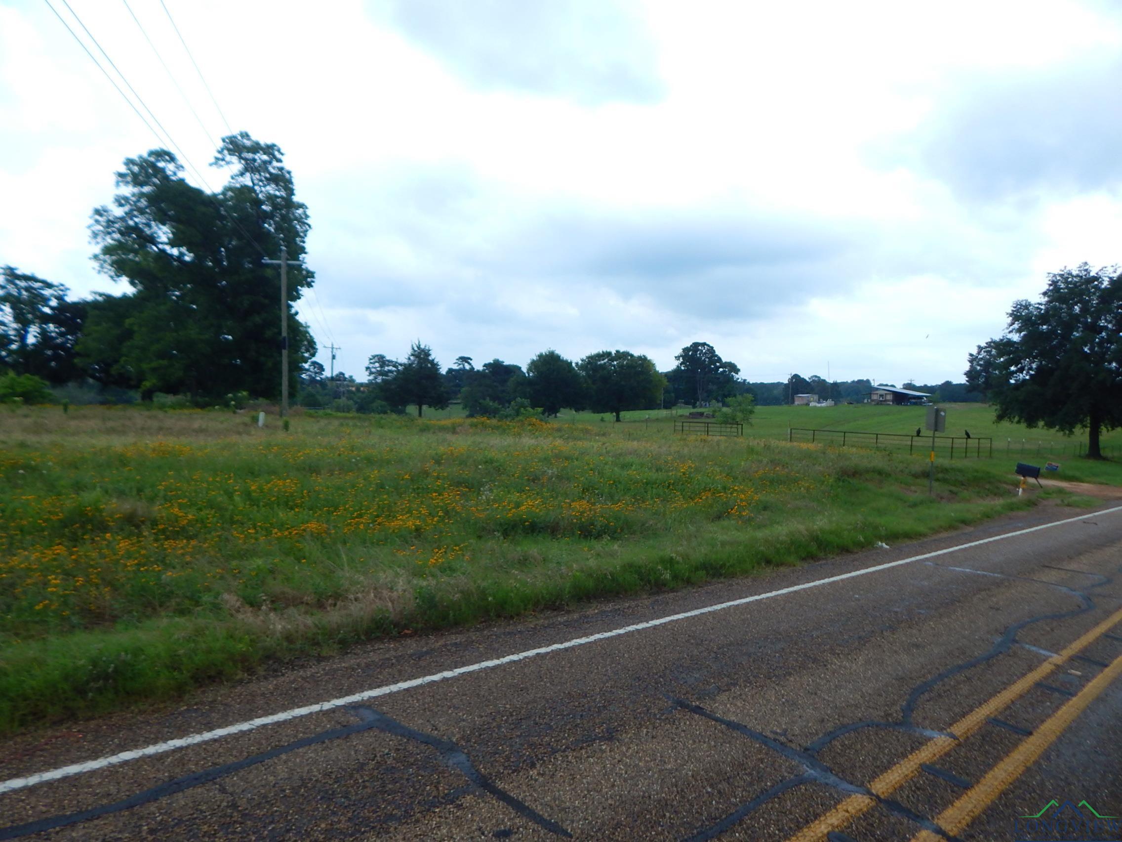 TBD 1 Acre Fm 1404, Big Sandy, Texas image 4