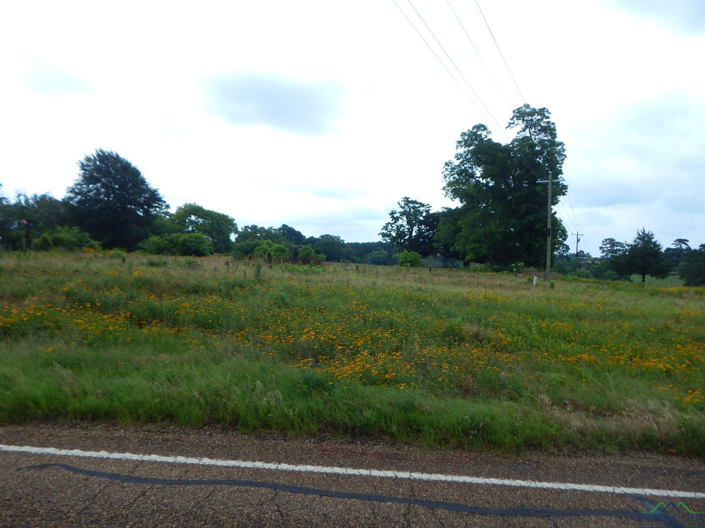 TBD 1 Acre Fm 1404, Big Sandy, Texas image 6