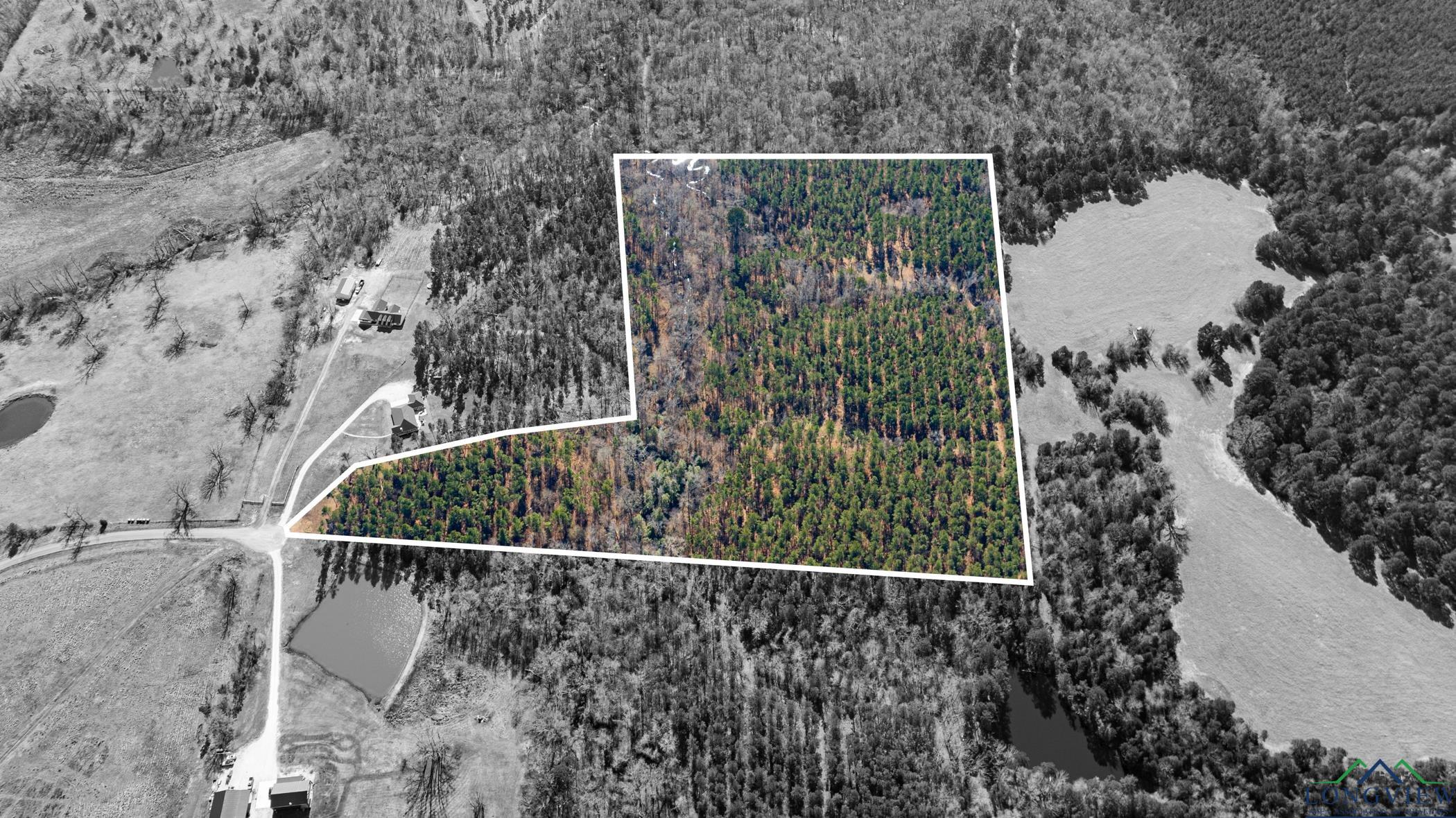 000 Eagle Court Rd, New Diana, Texas image 18