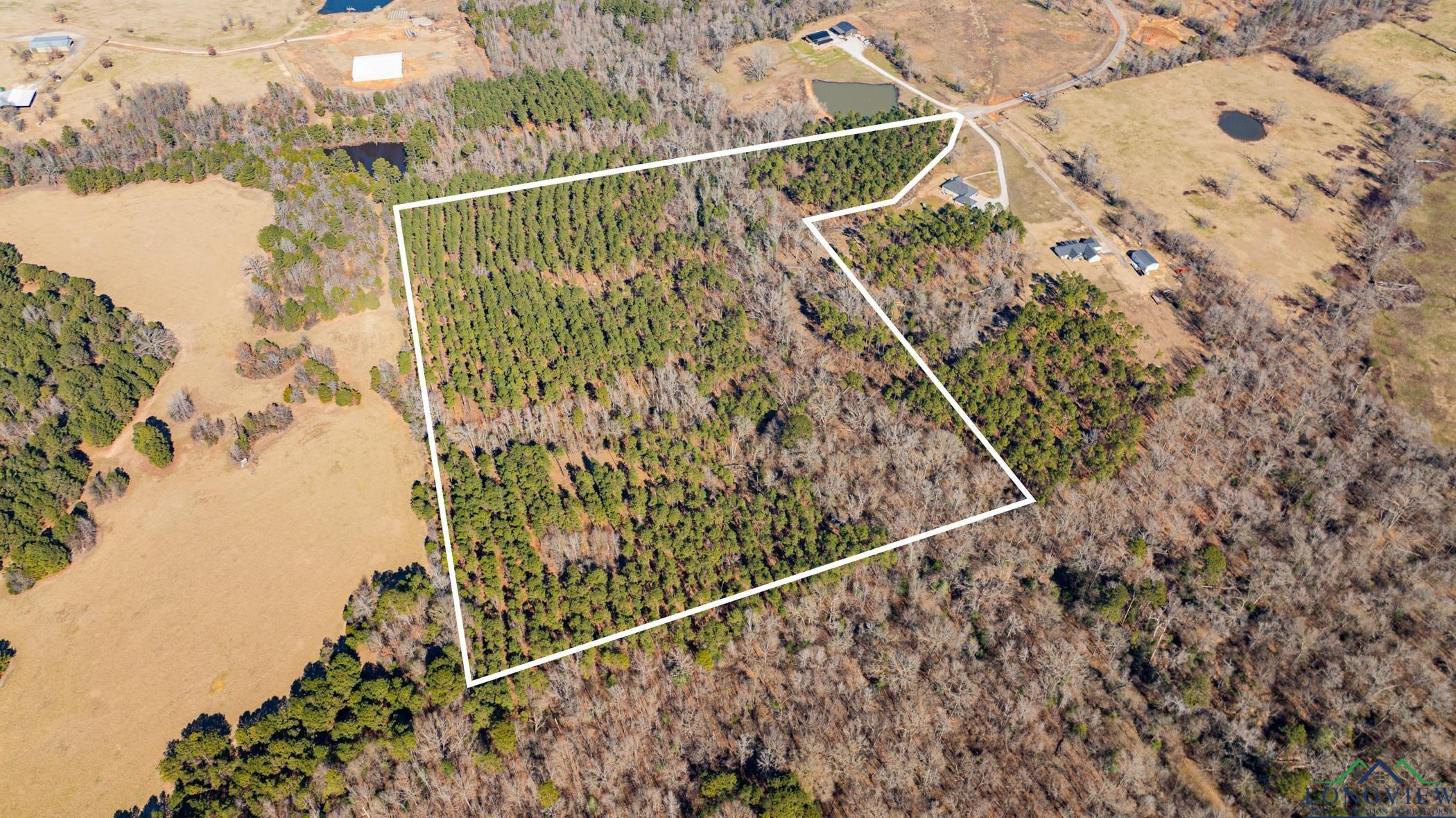 000 Eagle Court Rd, New Diana, Texas image 9