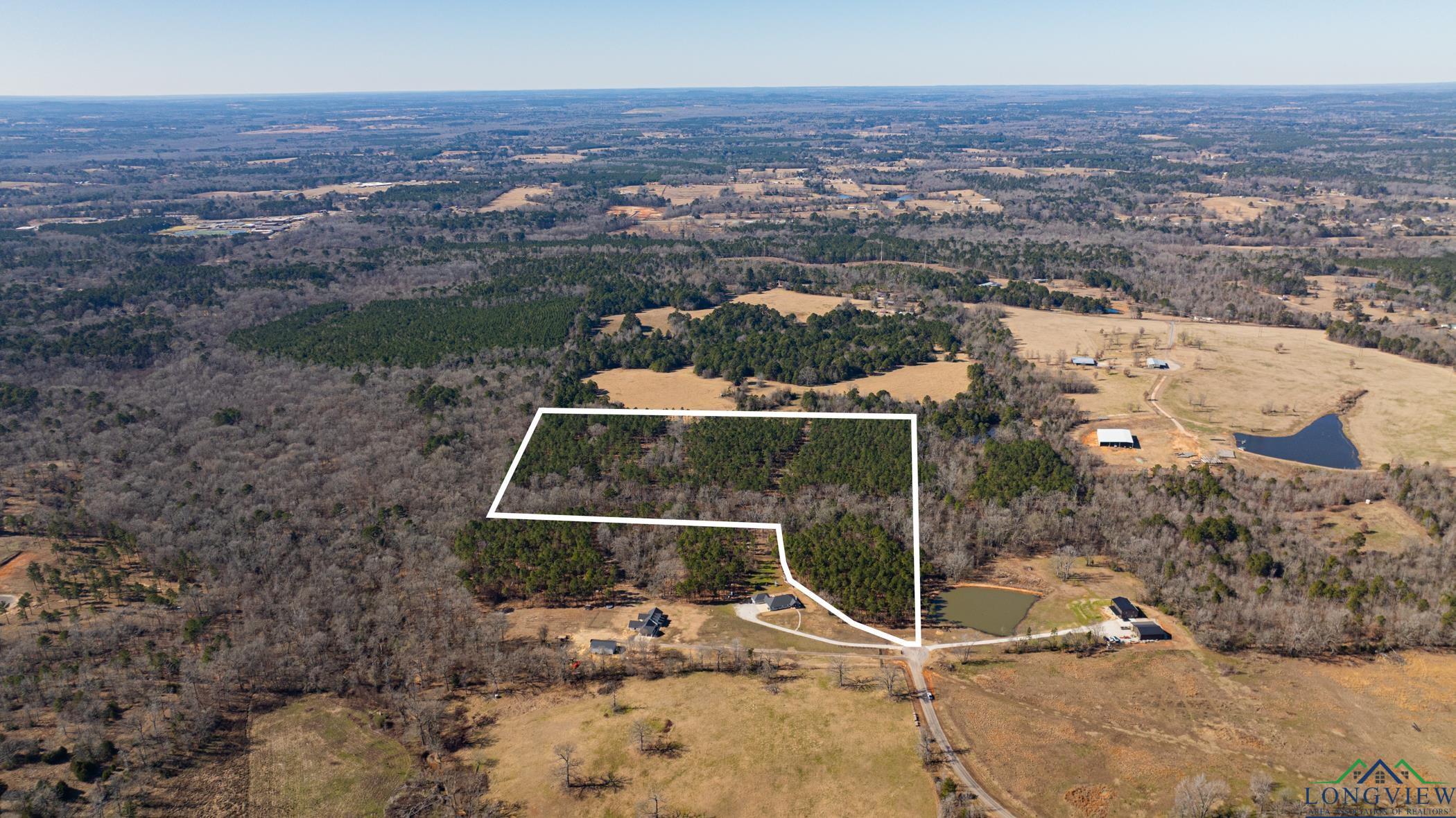 000 Eagle Court Rd, New Diana, Texas image 24