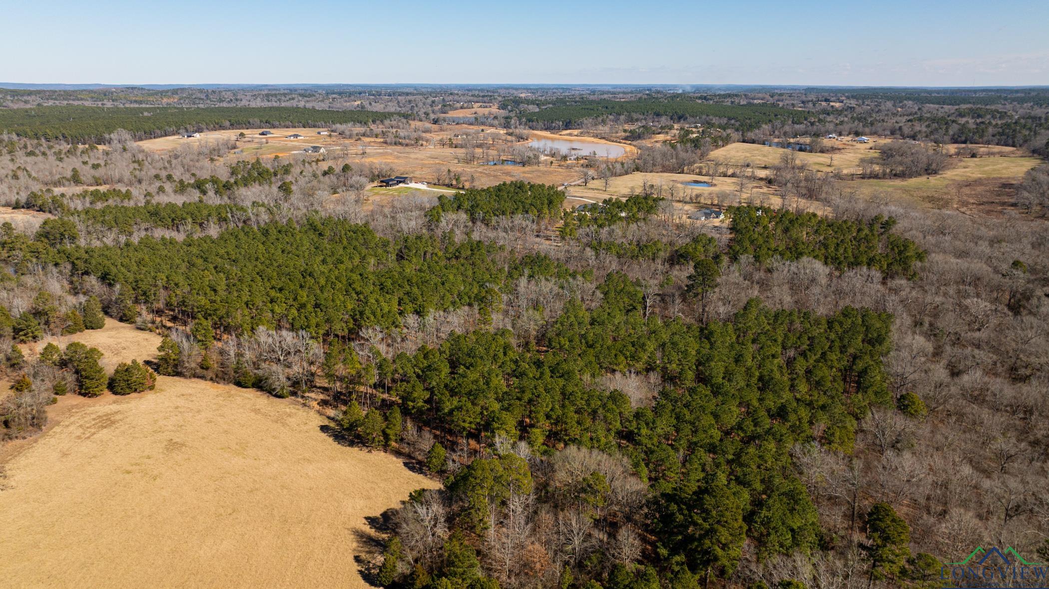 000 Eagle Court Rd, New Diana, Texas image 12