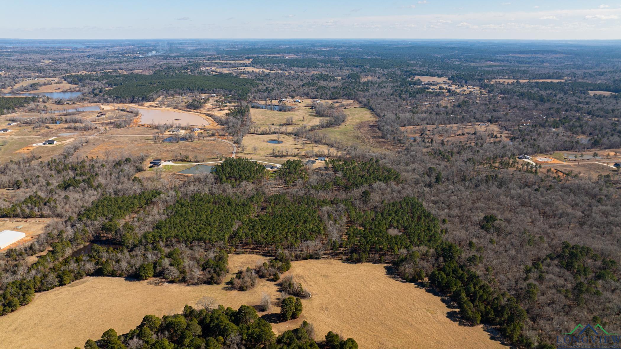 000 Eagle Court Rd, New Diana, Texas image 16