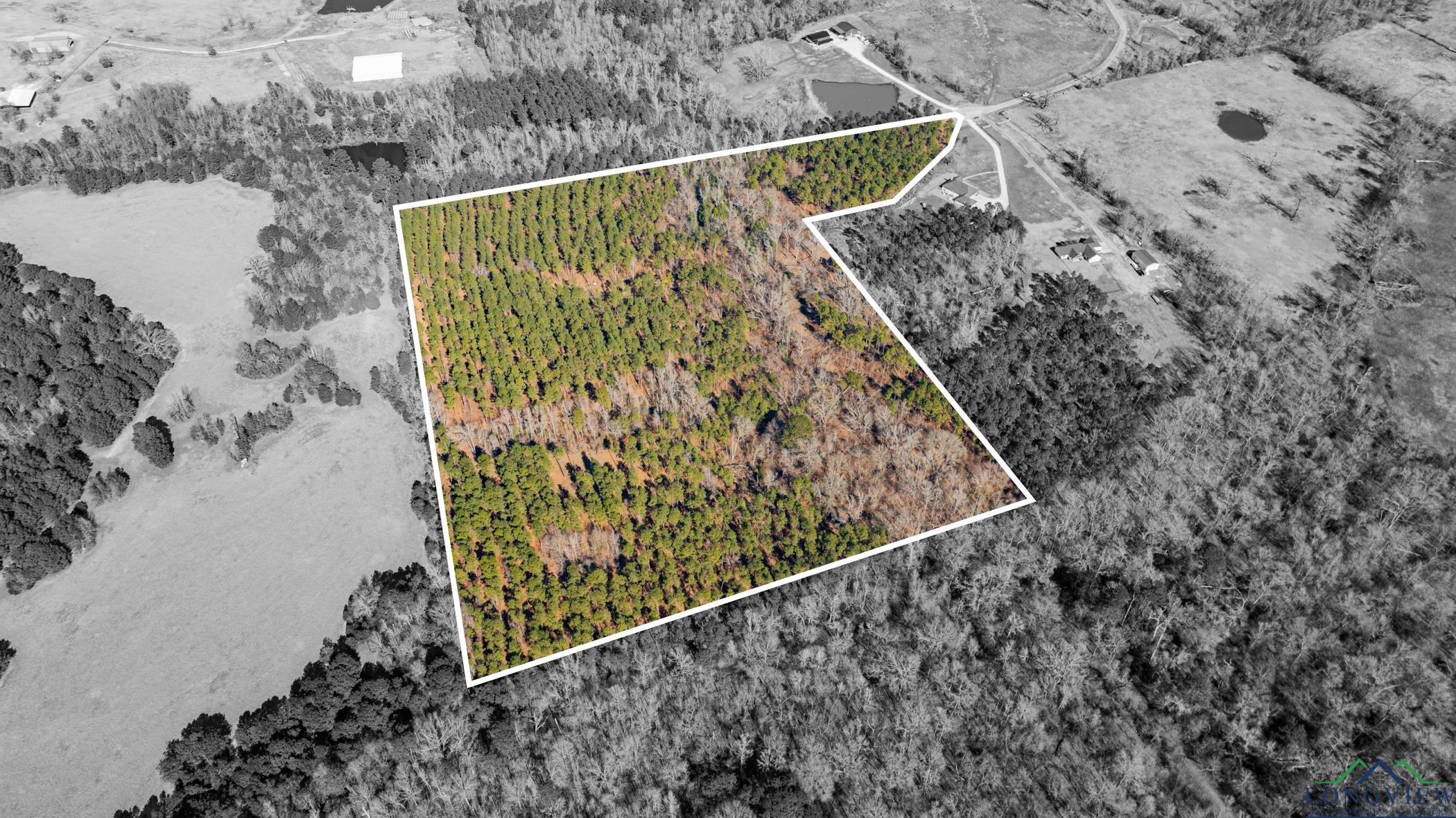 000 Eagle Court Rd, New Diana, Texas image 1