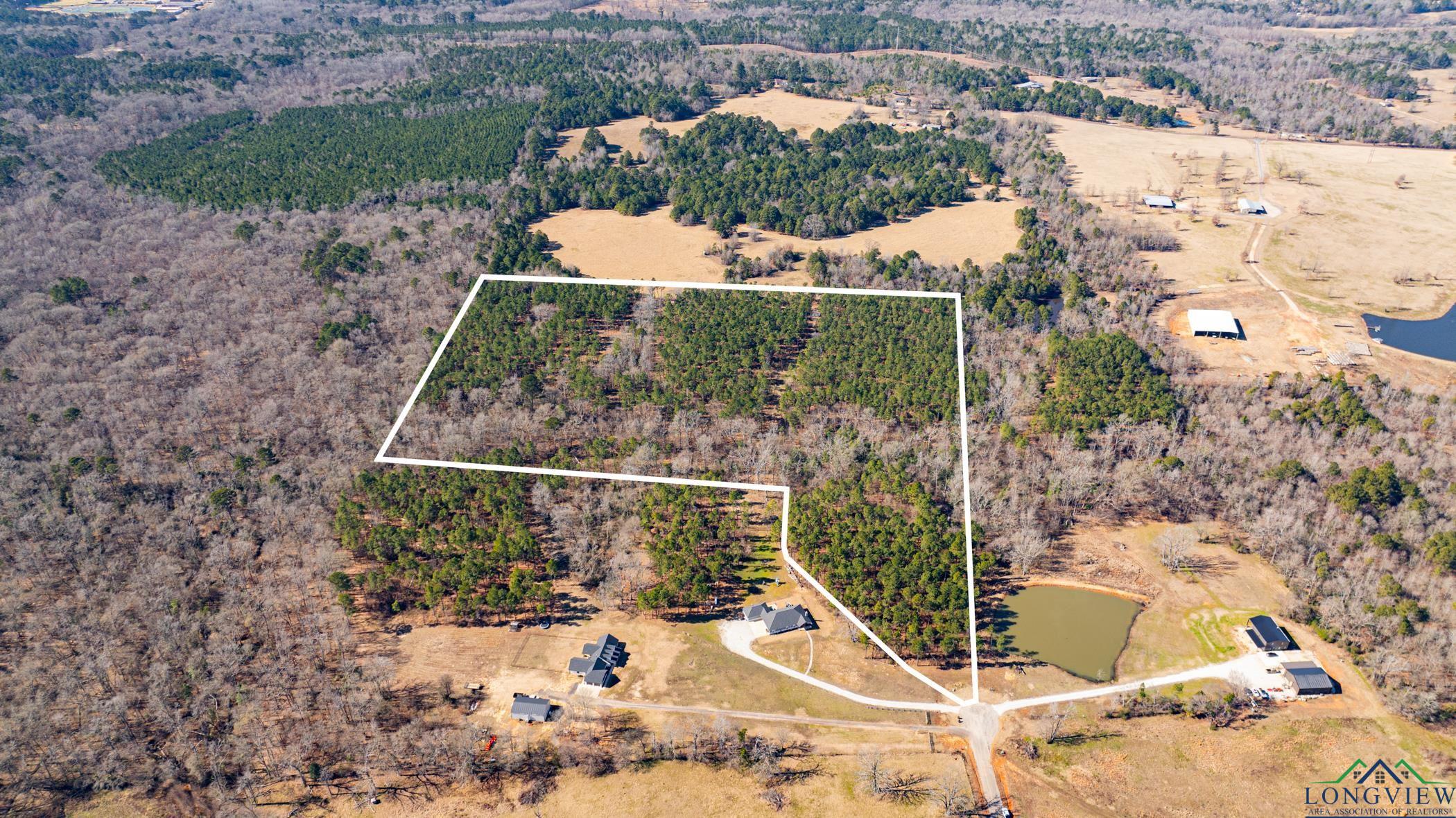 000 Eagle Court Rd, New Diana, Texas image 26