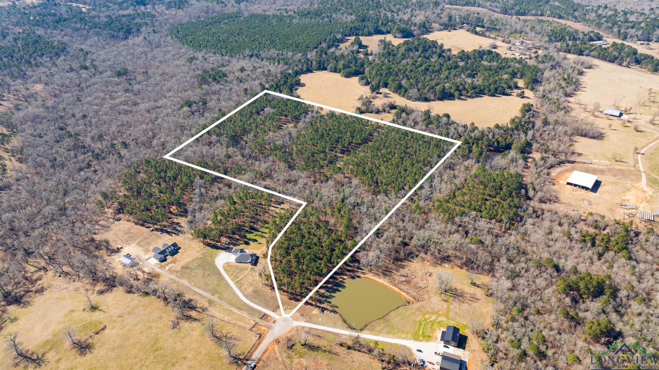 000 Eagle Court Rd, New Diana, Texas image 22
