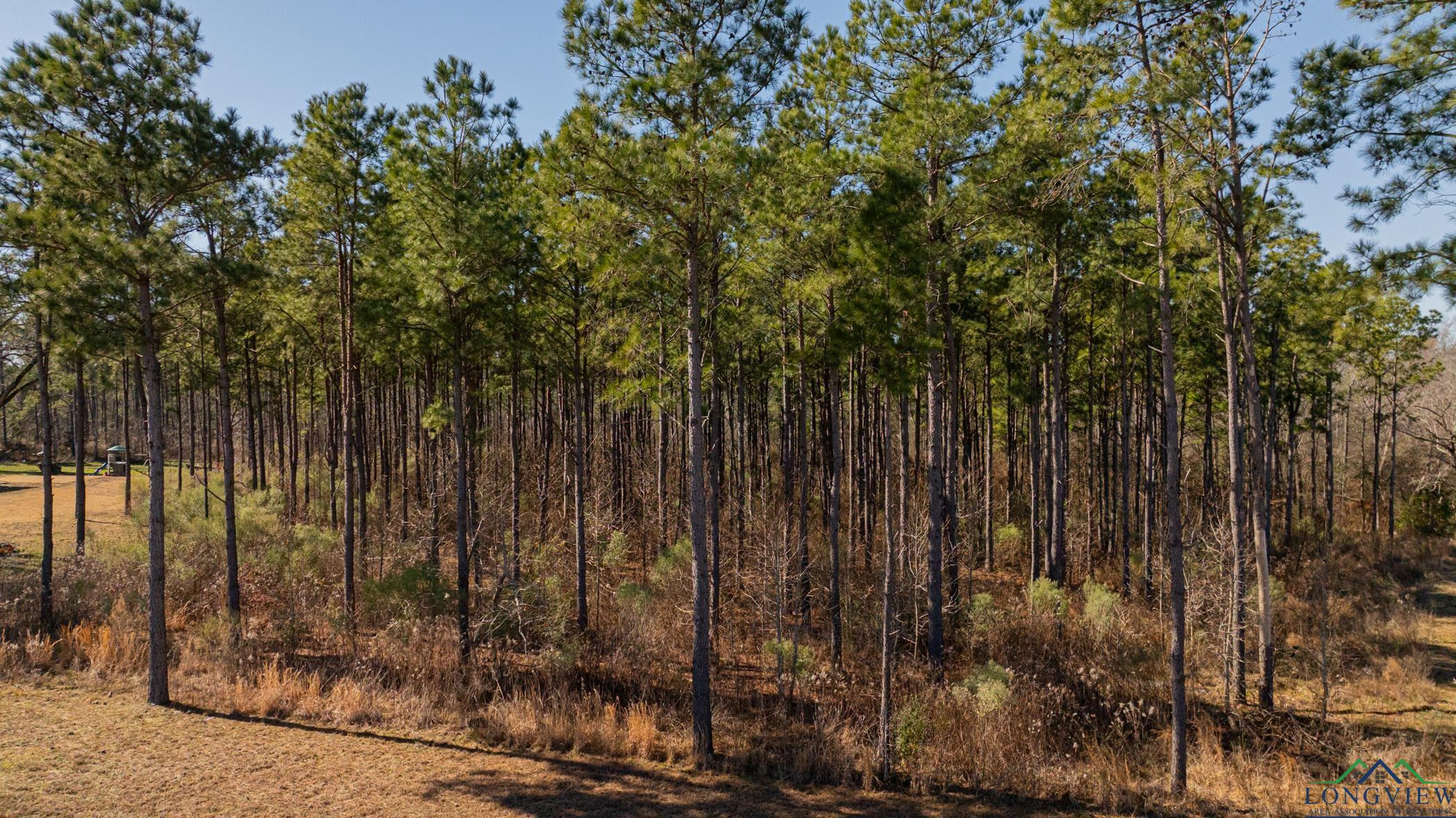 000 Eagle Court Rd, New Diana, Texas image 2