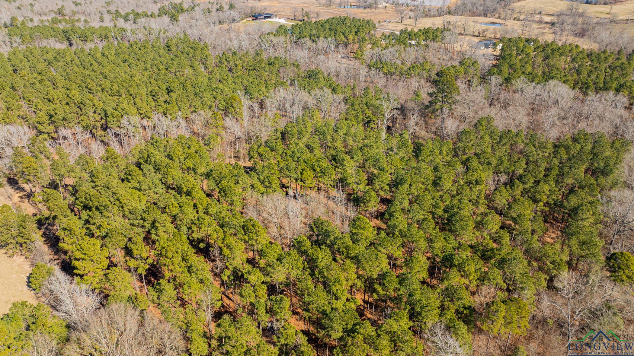 000 Eagle Court Rd, New Diana, Texas image 5